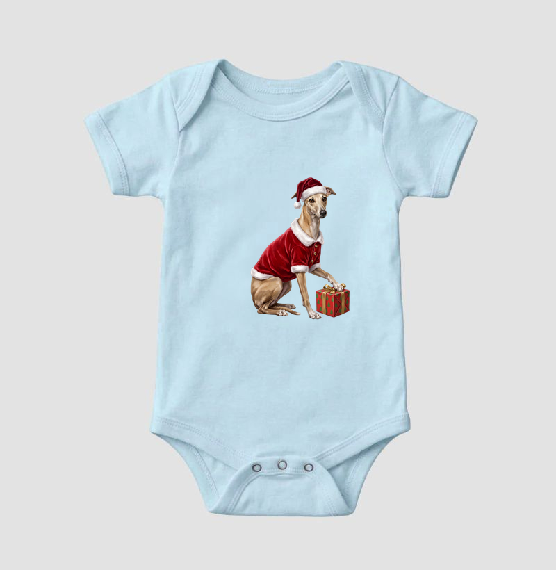 Whippet - Natal - Imagem 4