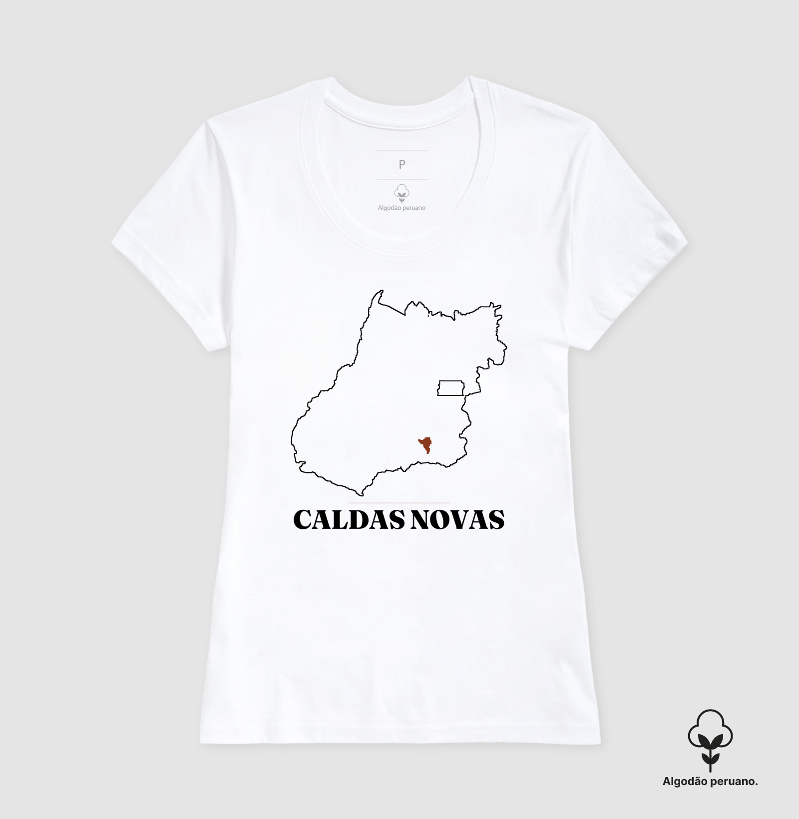 Caldas Novas | Traço GO - Imagem 6