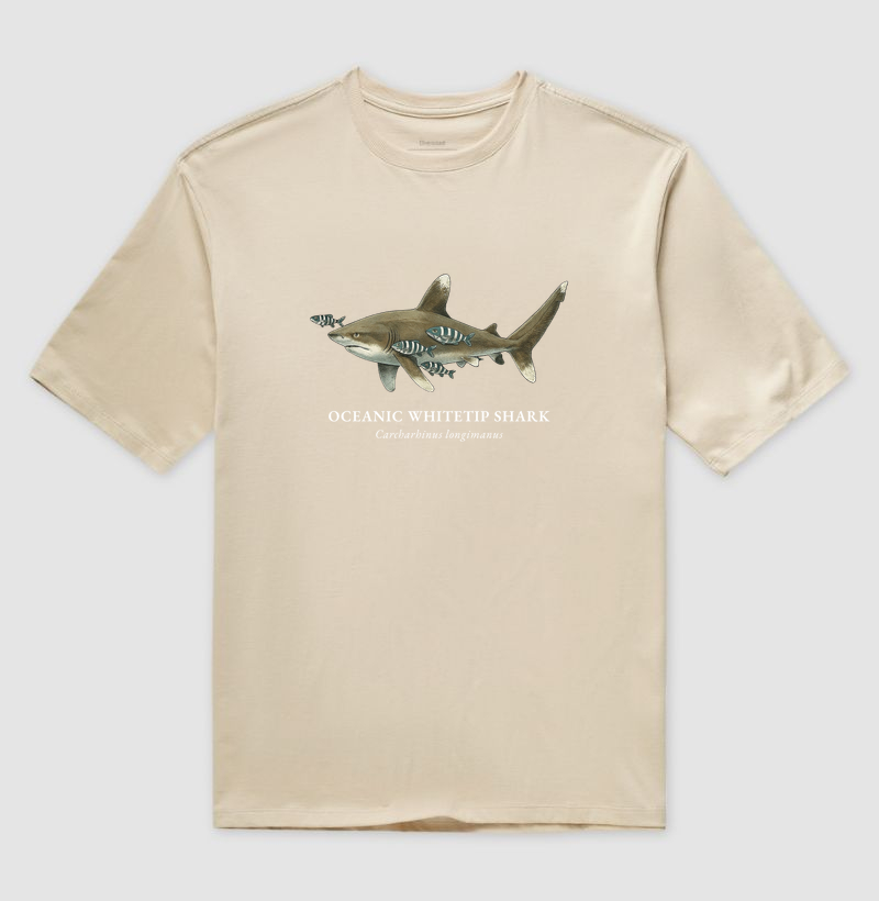 Oceanic Whitetip Shark - Imagem 5