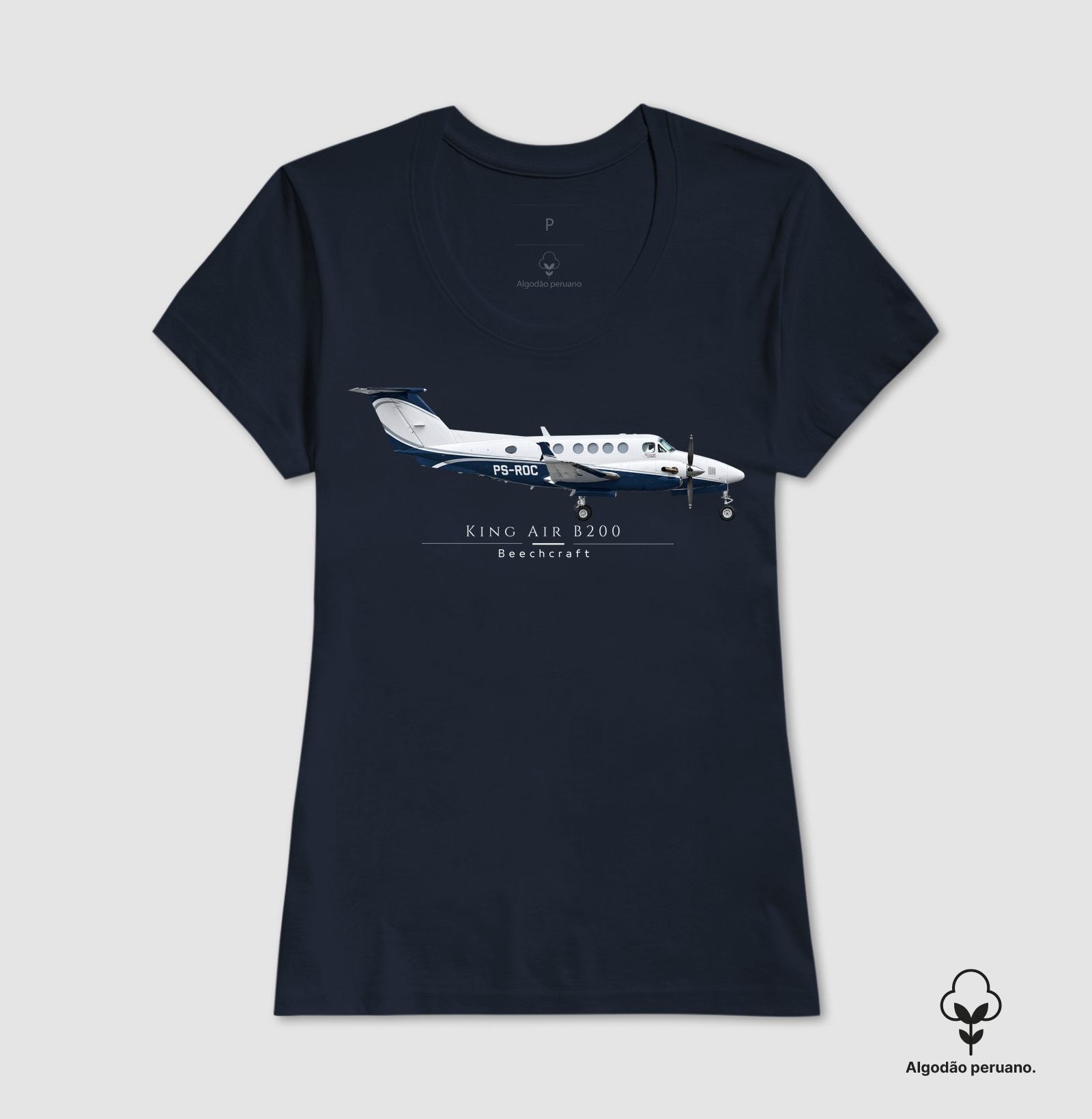 King Air B200 | Profile - Imagem 8