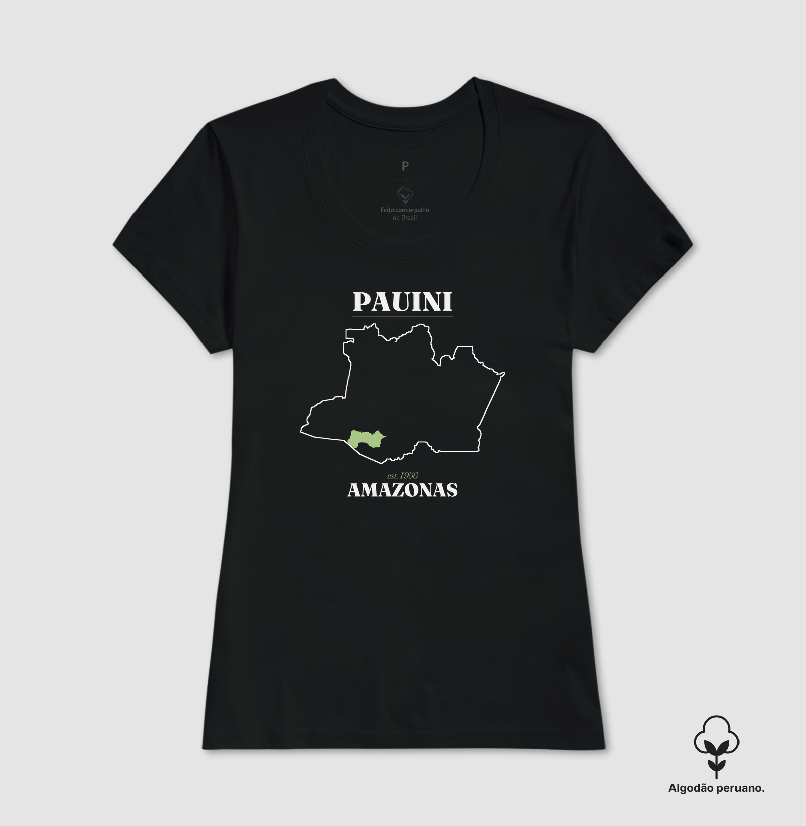 Pauini | Legado AM - Imagem 5