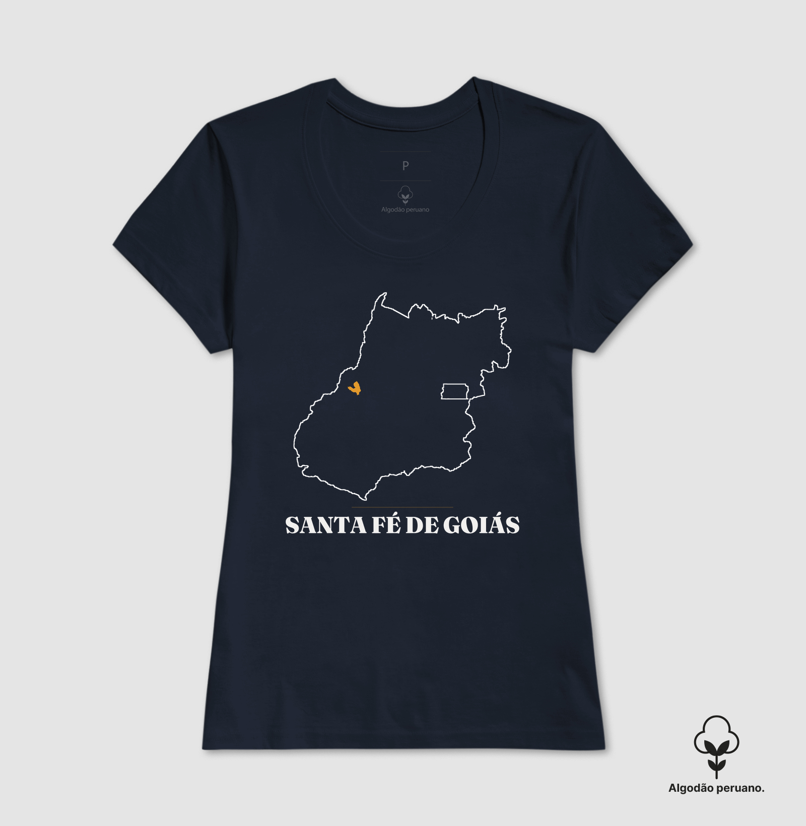 Santa Fé de Goiás | Traço GO - Imagem 8