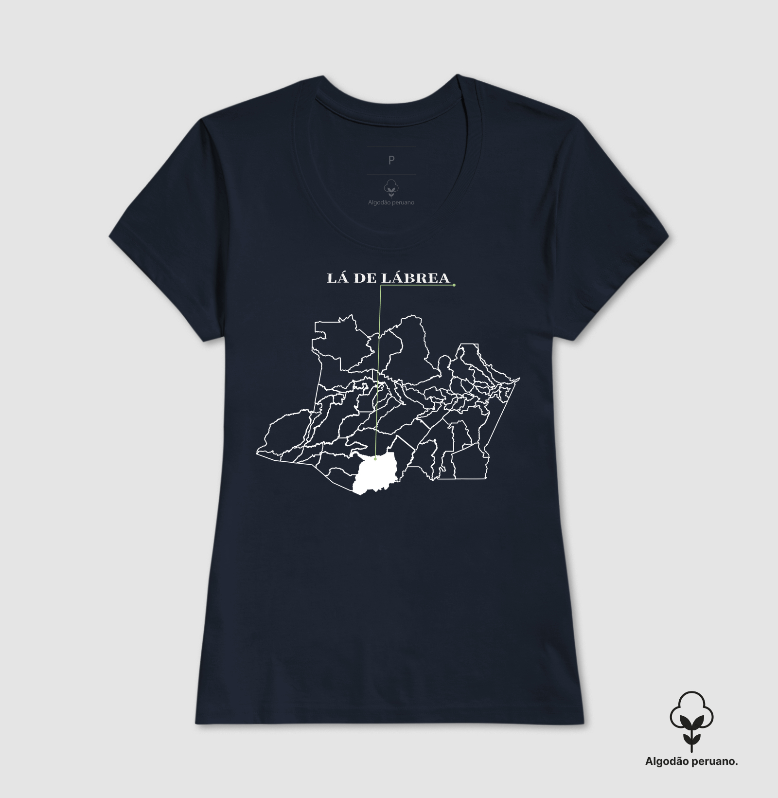 Lábrea | Origem AM - Imagem 8