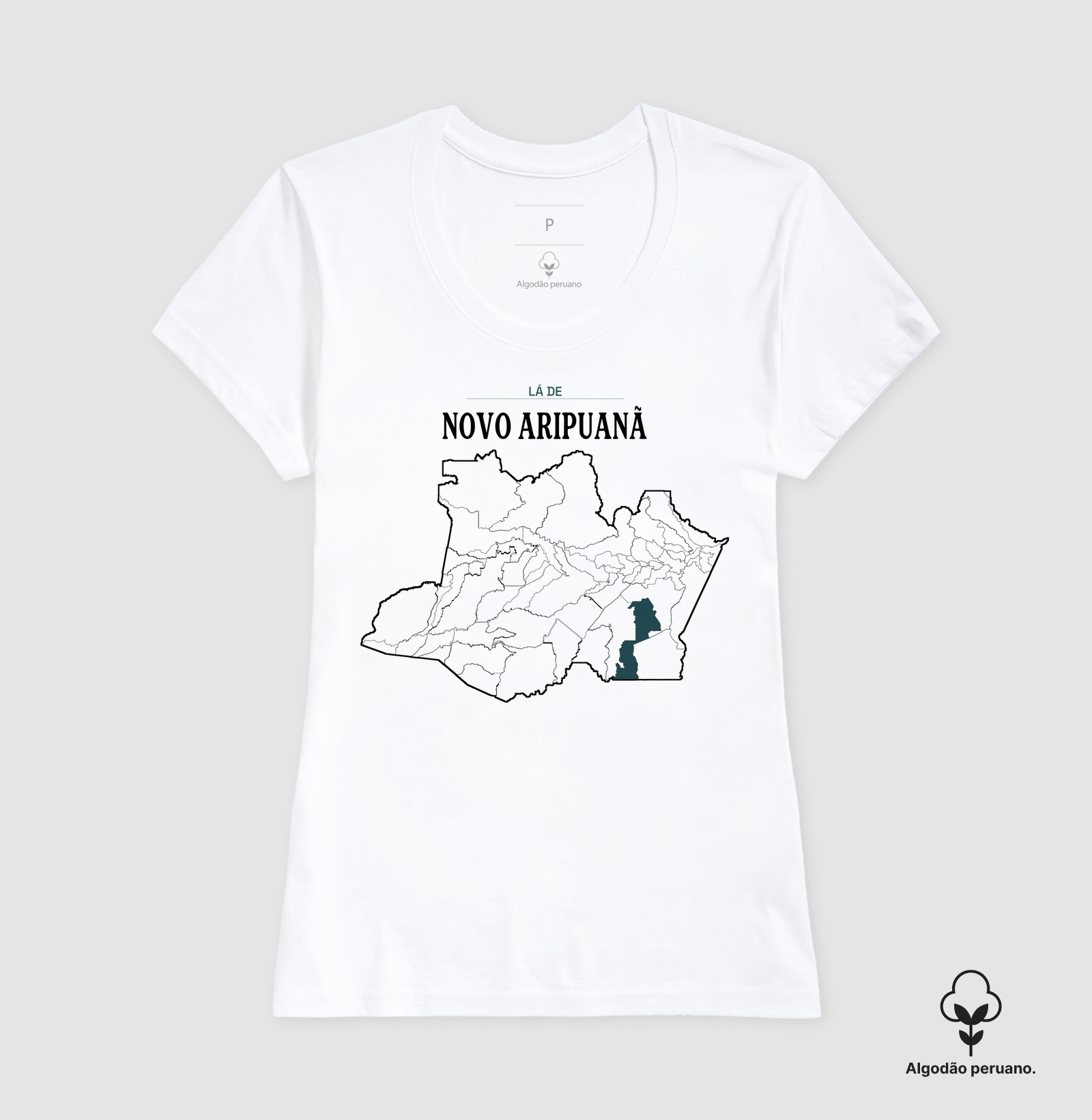 Novo Aripuanã | Território AM - Imagem 4
