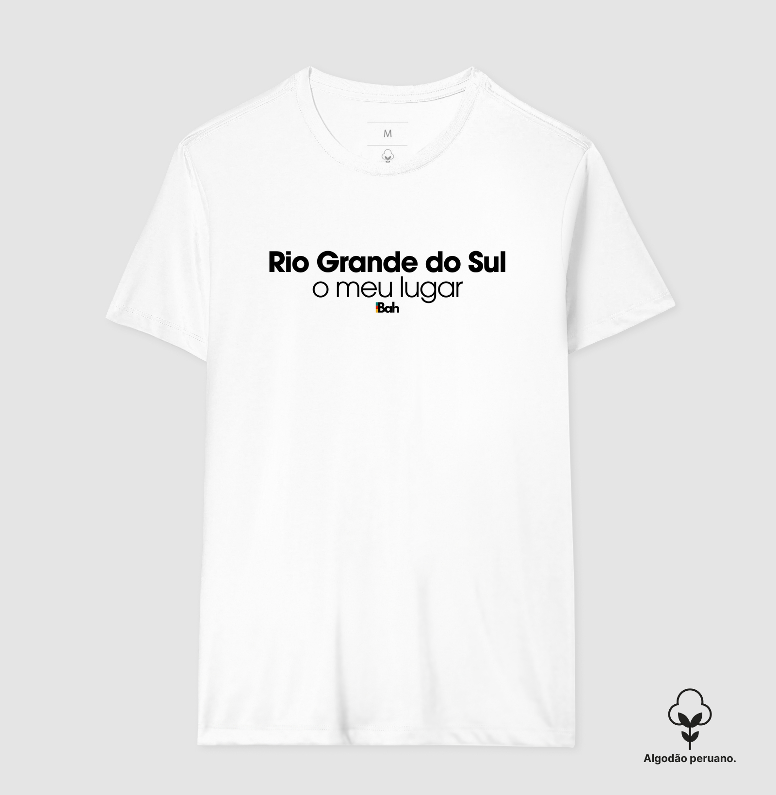 Rio Grande do Sul o meu lugar - Imagem 5