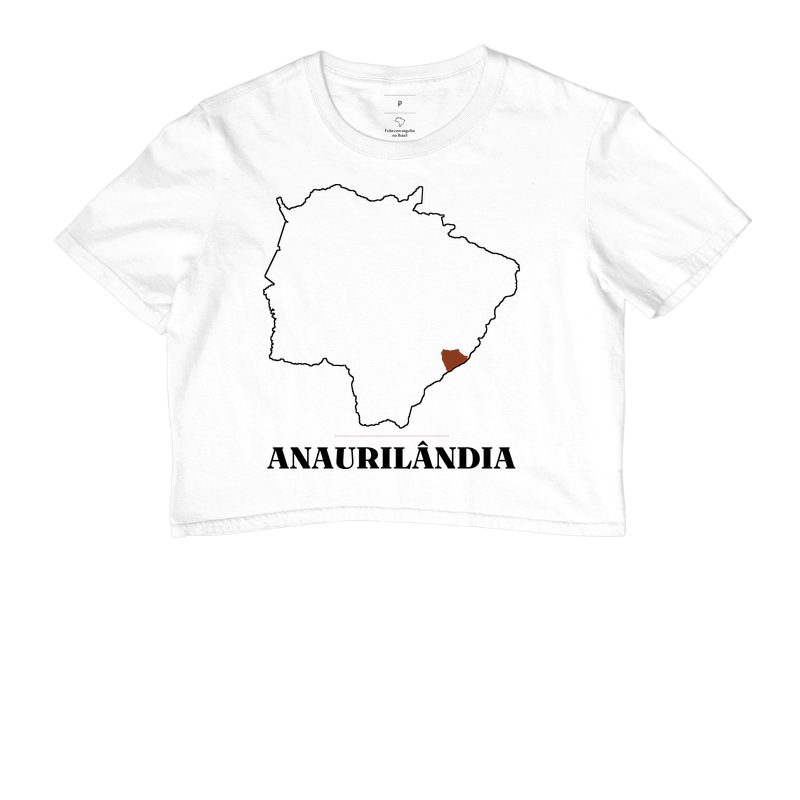 Anaurilândia | Traço MS - Imagem 3