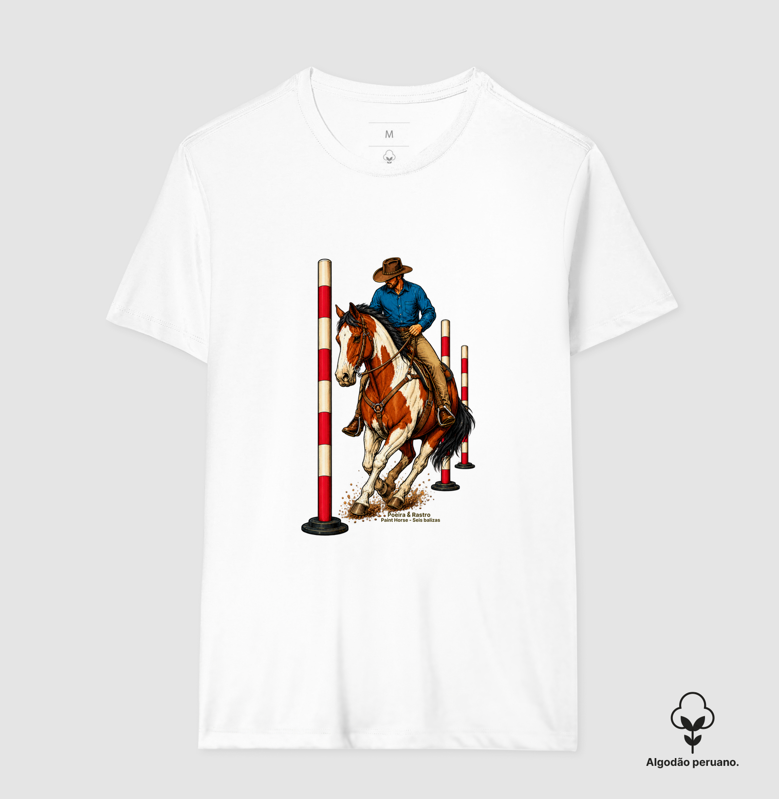 Paint Horse - Seis Balizas. - Imagem 9