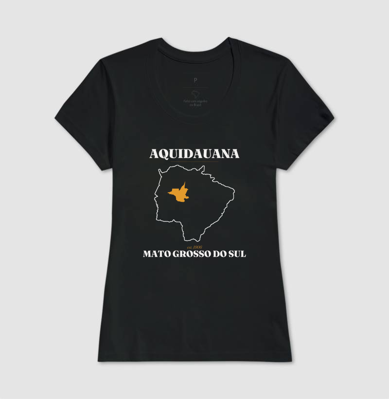 Aquidauana | Legado MS - Imagem 3