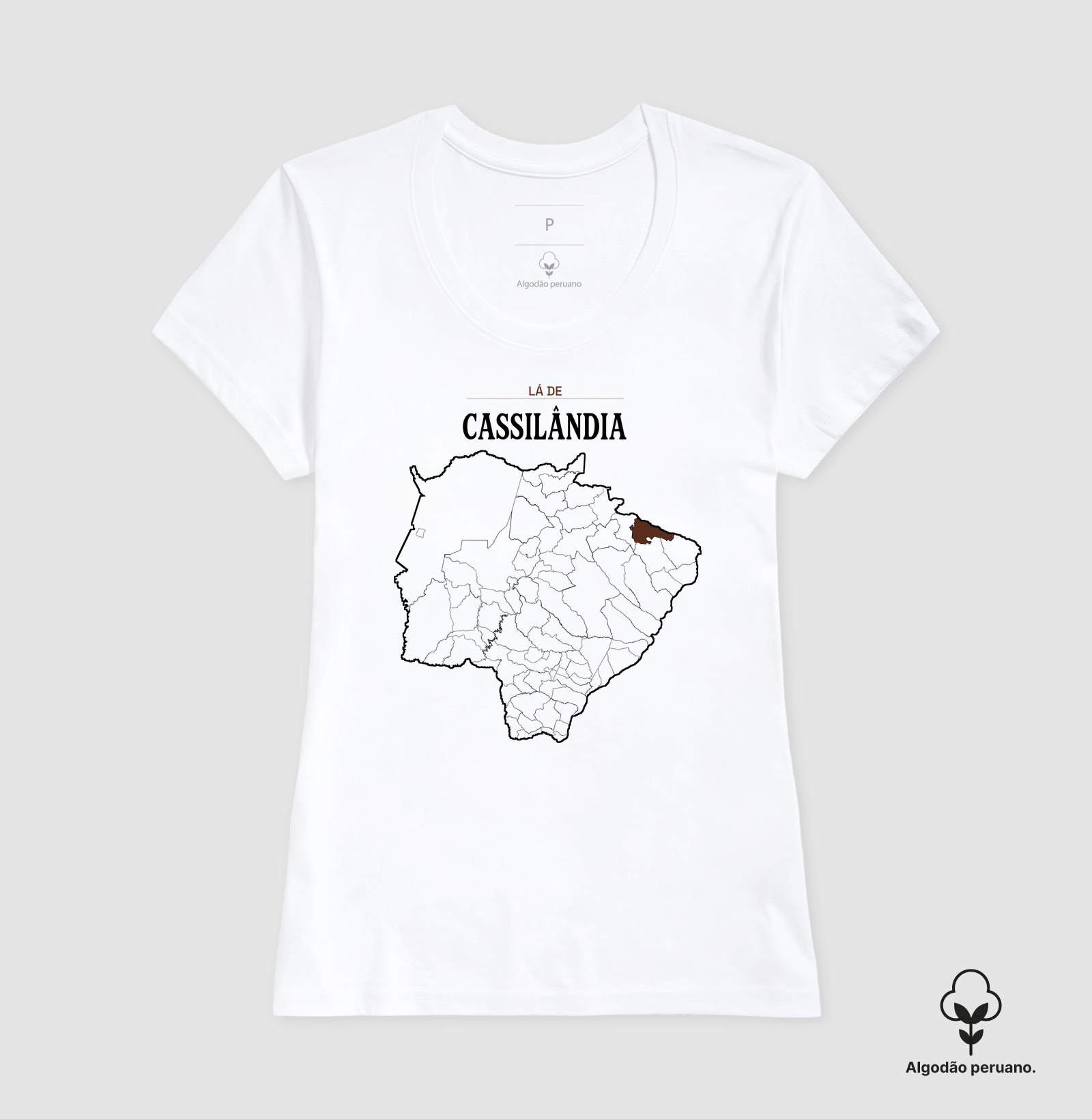 Cassilândia | Território MS - Imagem 9