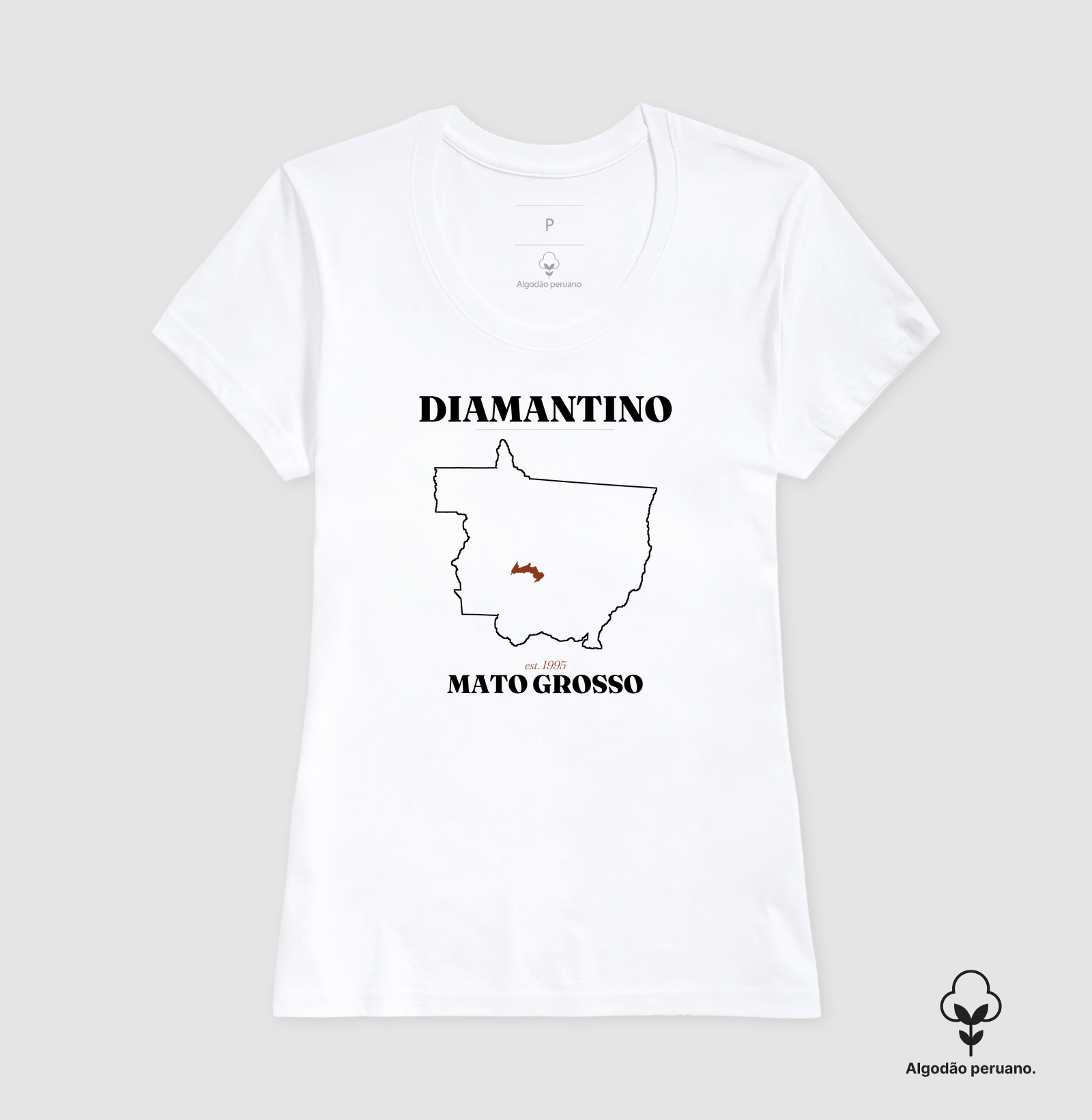 Diamantino | Legado MT - Imagem 6