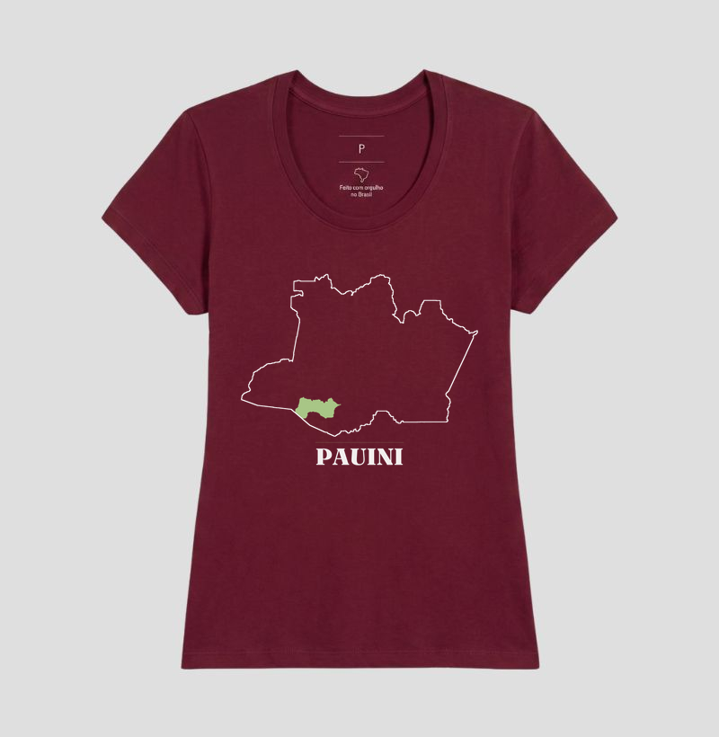 Pauini | Traço AM - Imagem 19