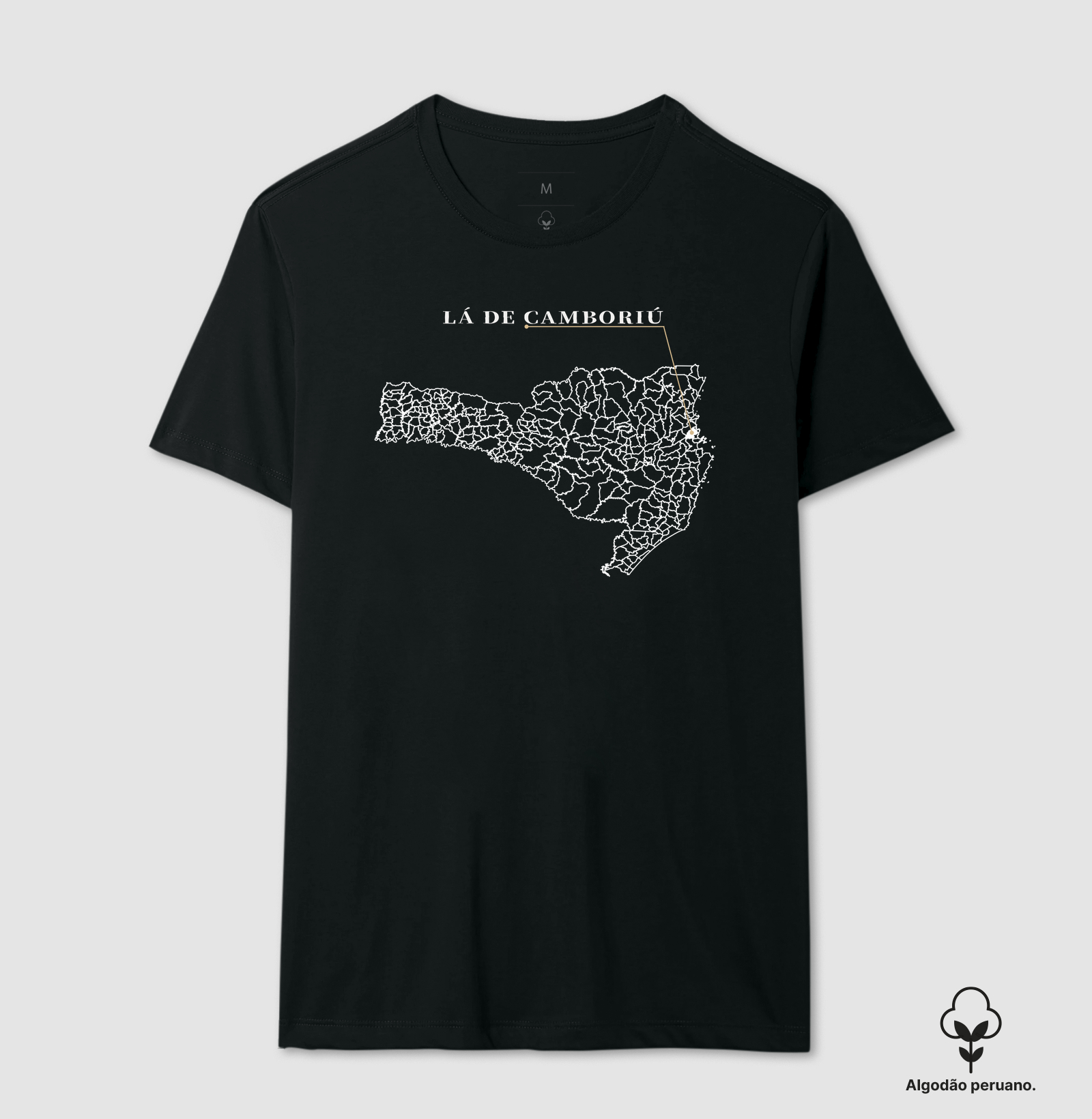 Camboriú | Origem SC - Imagem 2