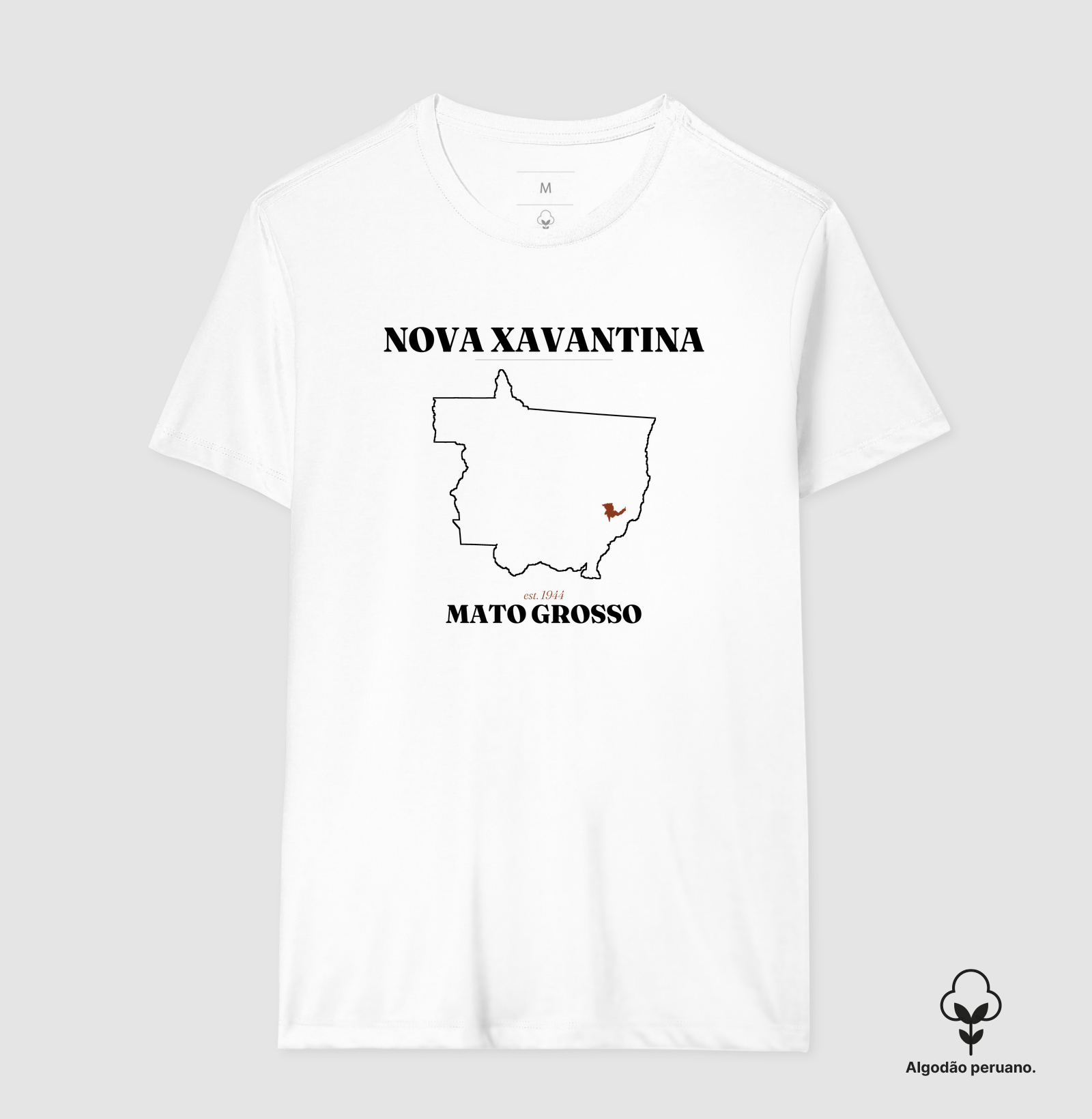 Nova Xavantina | Legado MT - Imagem 8