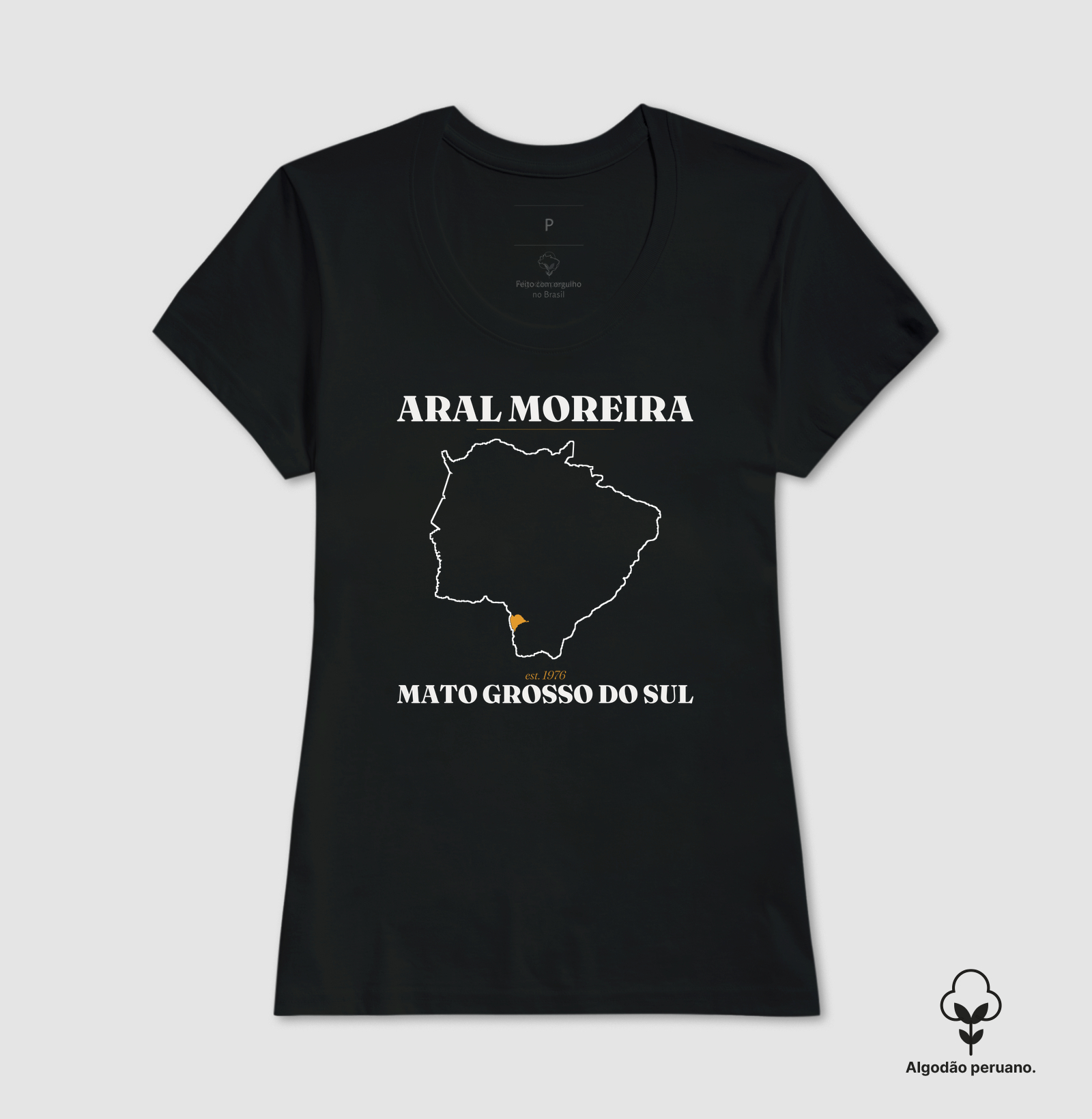 Aral Moreira | Legado MS - Imagem 2