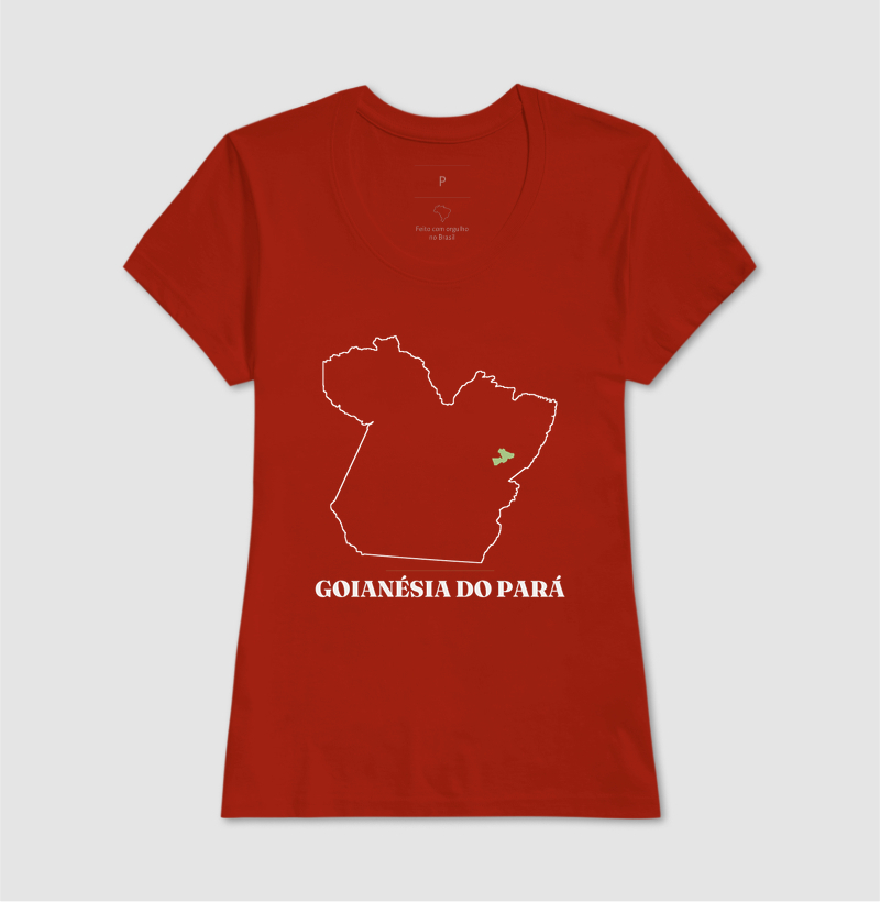 Goianésia do Pará | Traço PA - Imagem 11