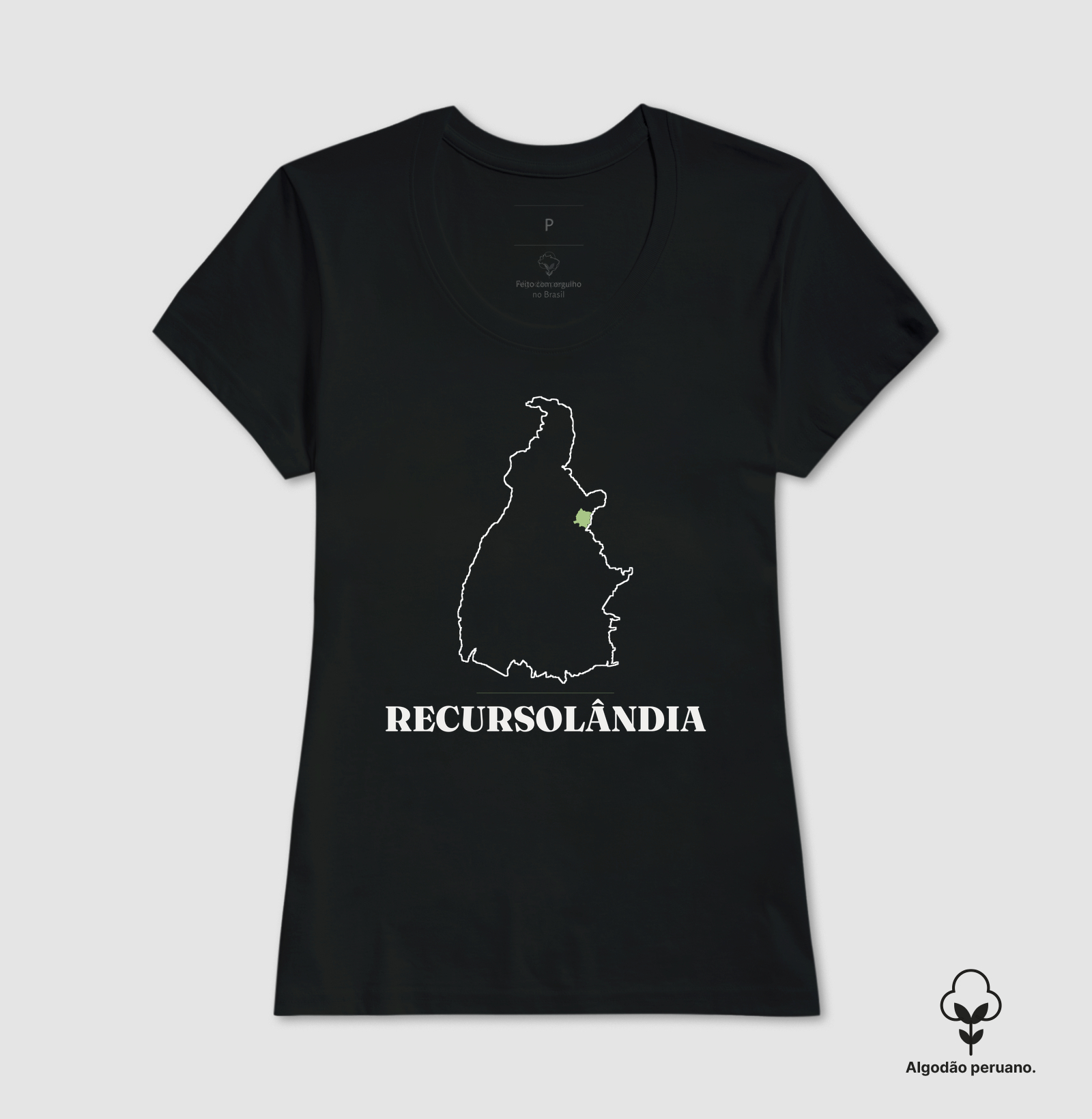 Recursolândia | Traço TO - Imagem 4