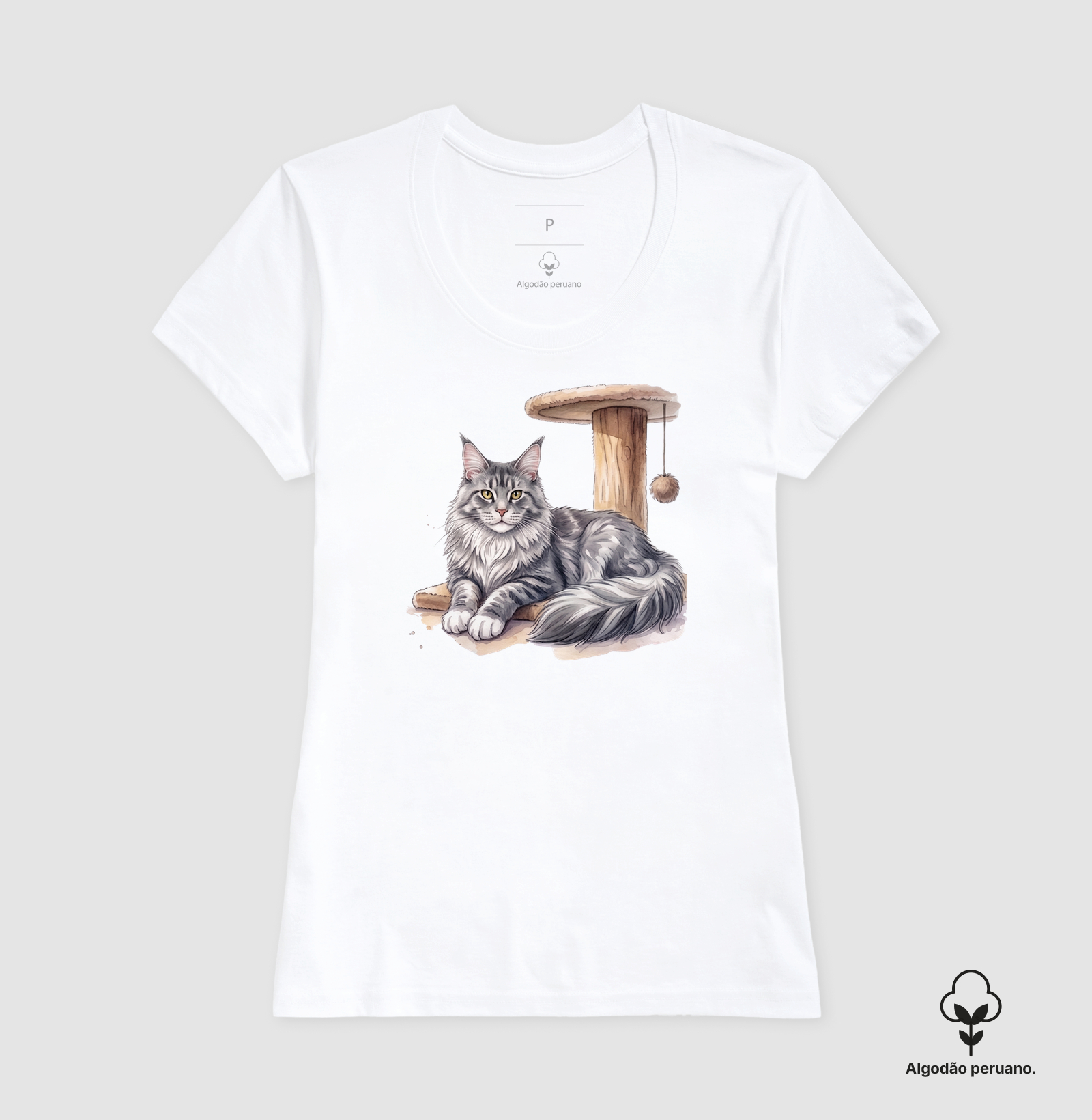 Maine Coon no Arranhador - Imagem 3