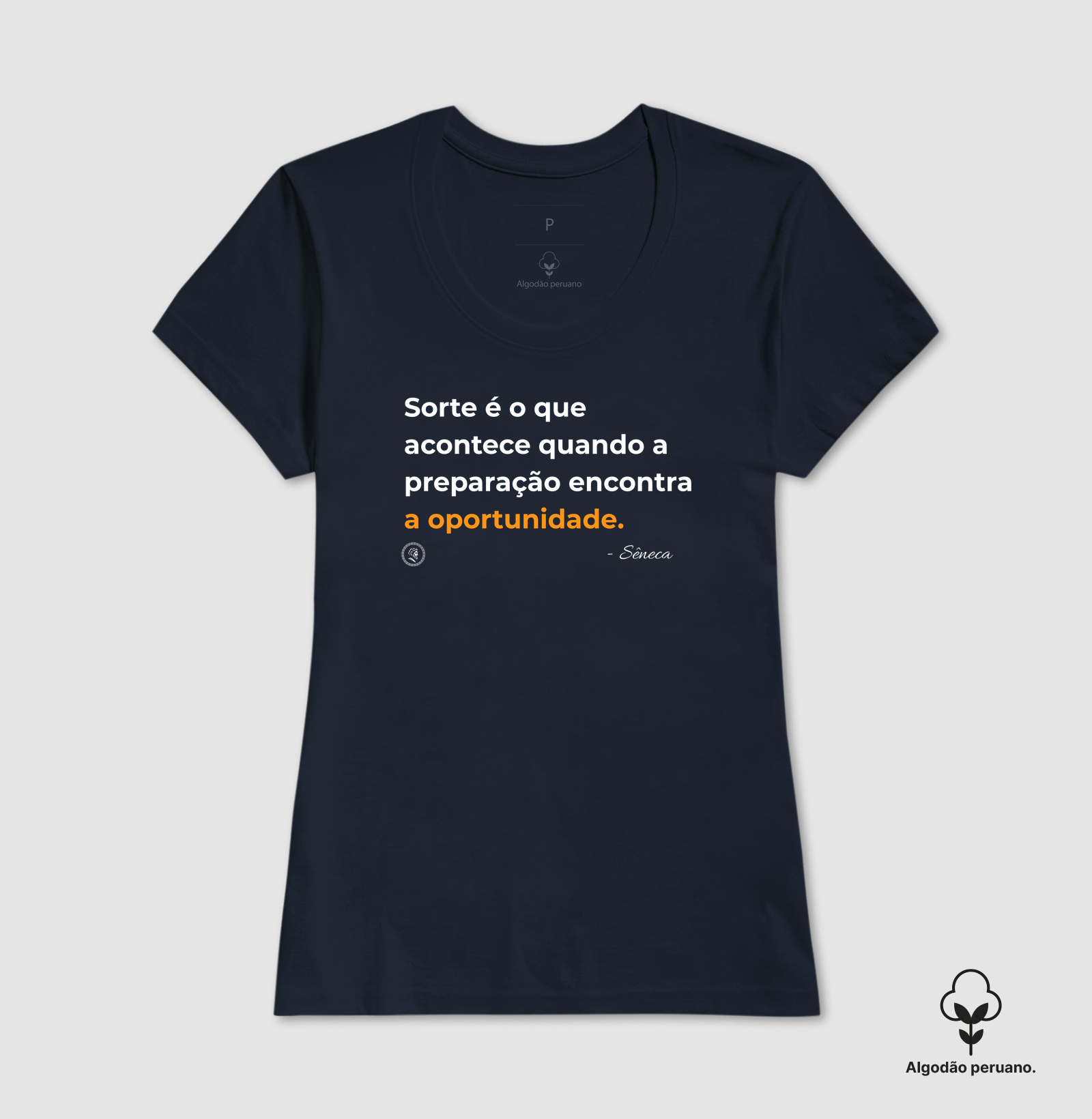 Estoicismo de Sêneca "Oportunidade" - Imagem 7