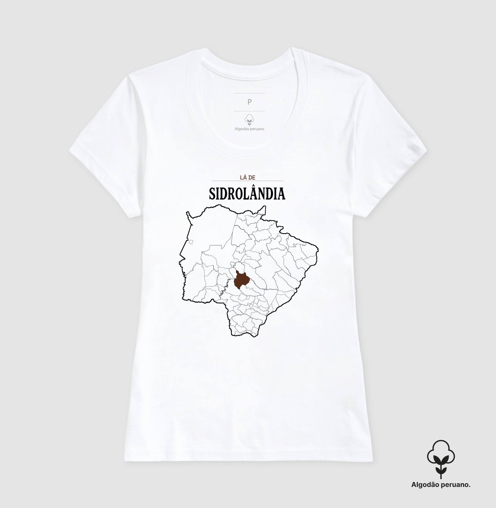 Sidrolândia | Território MS - Imagem 5