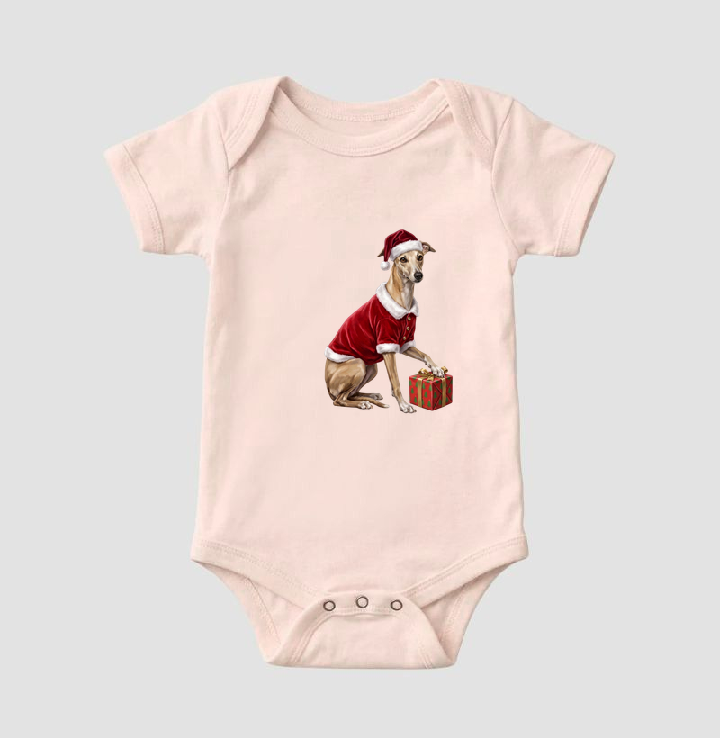 Whippet - Natal - Imagem 5