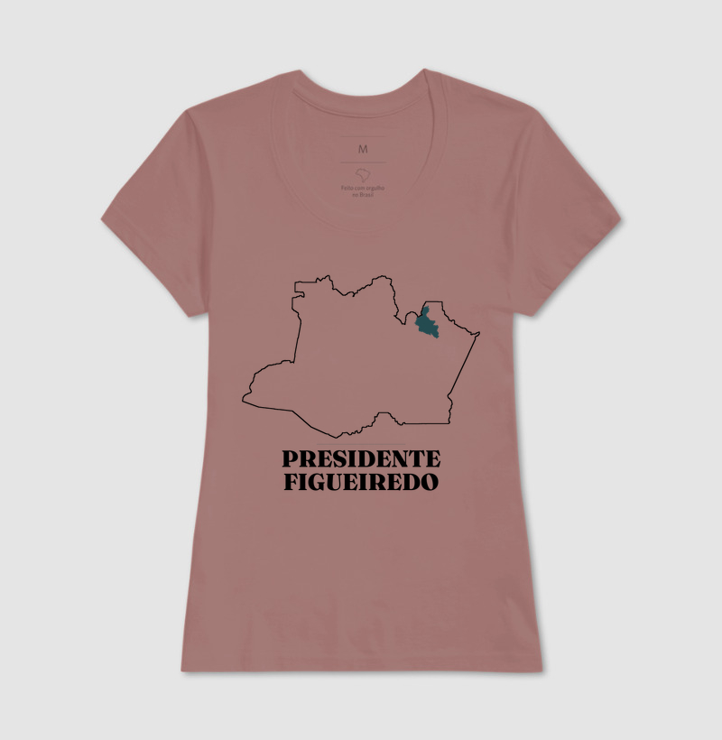 Presidente Figueiredo | Traço AM - Imagem 17