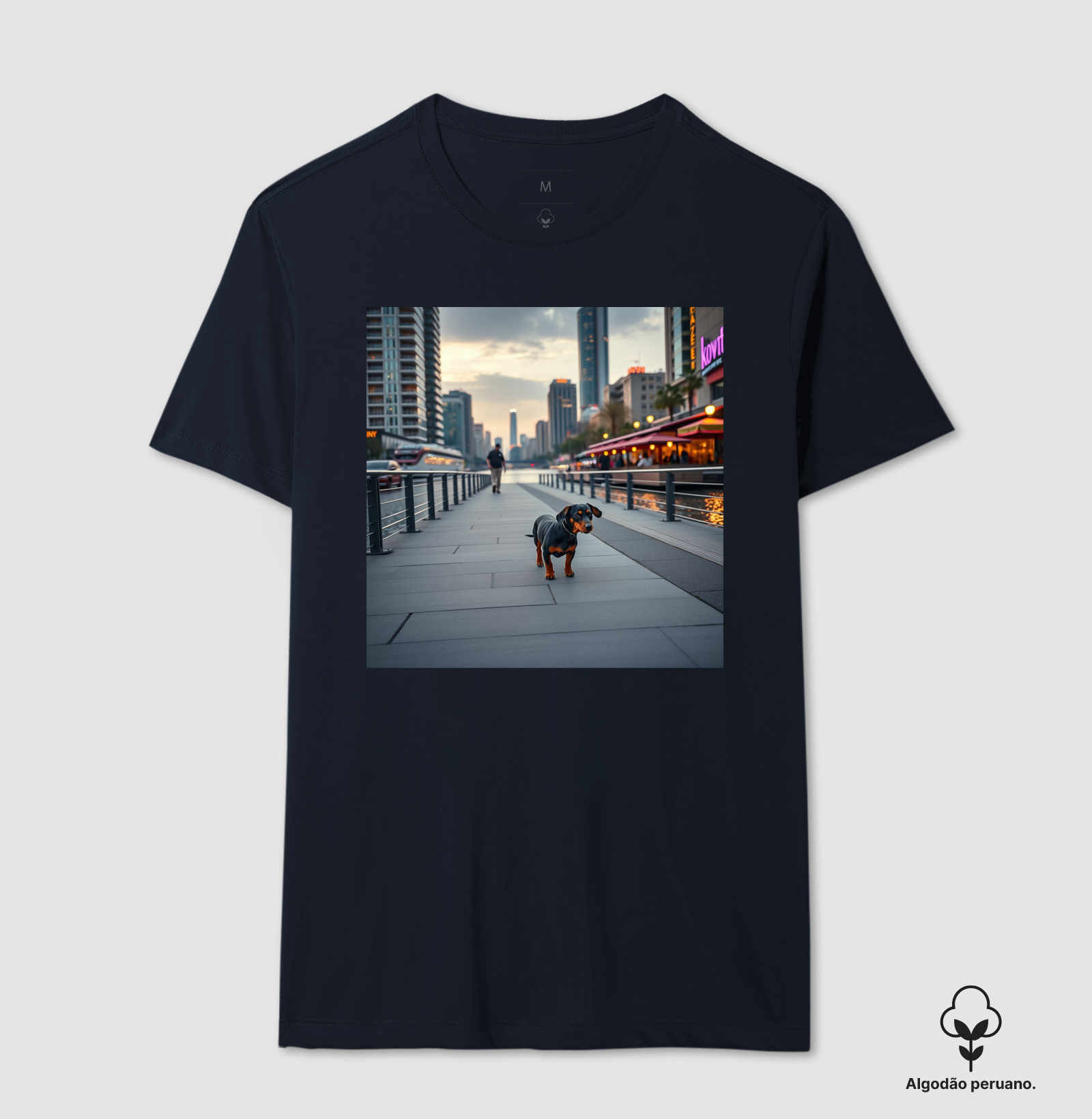 Camisa 1