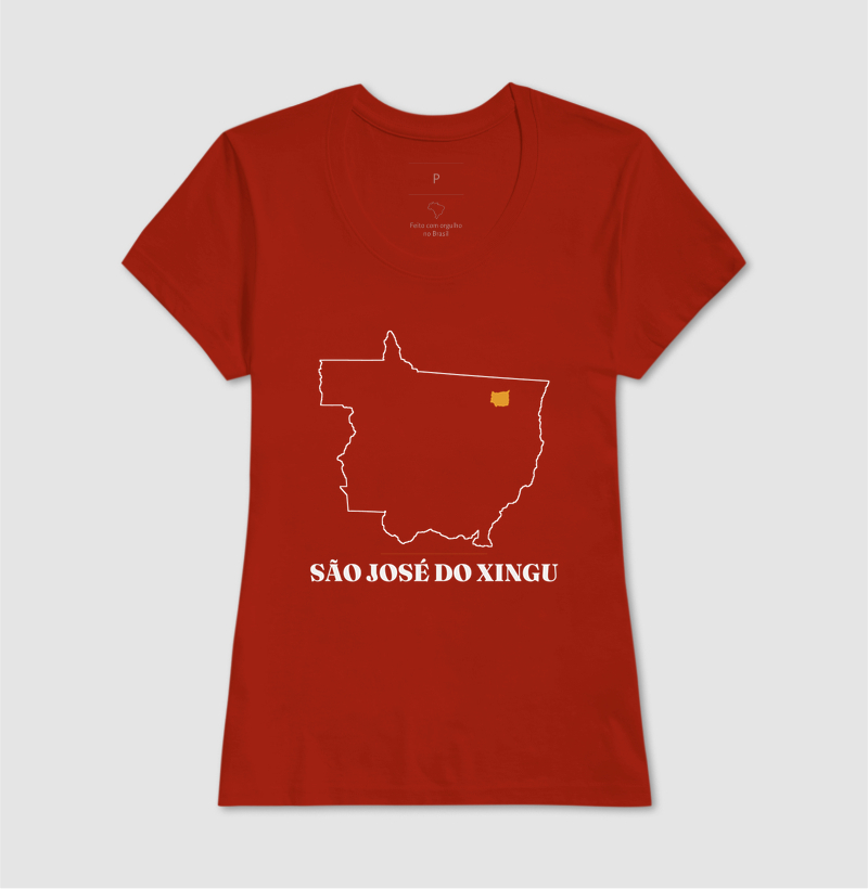 São José do Xingu | Traço MT - Imagem 11