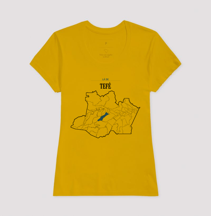 Tefé | Território AM - Imagem 15