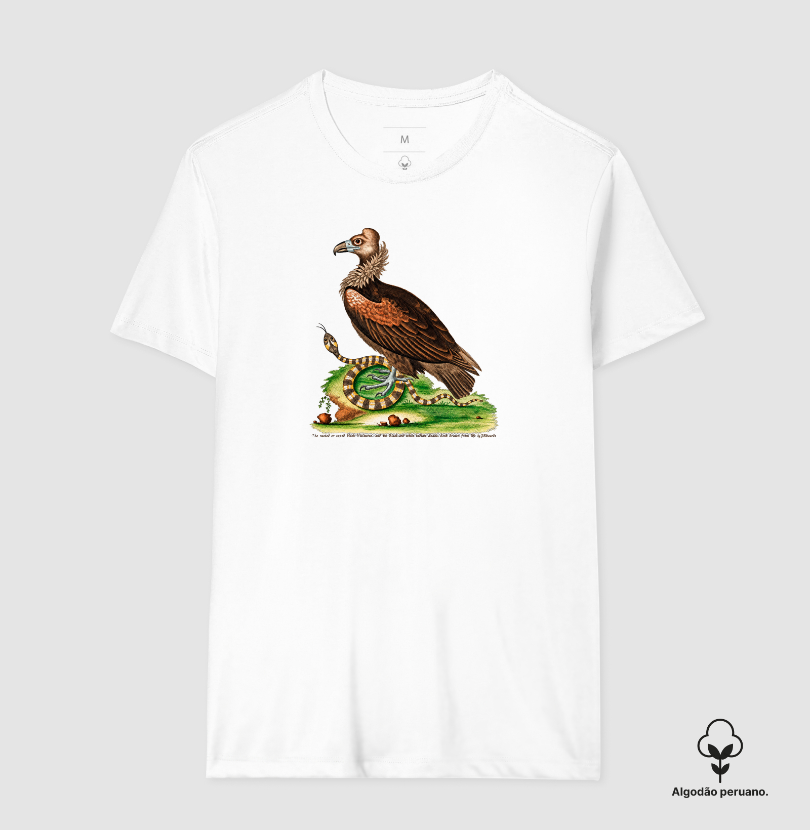 Camiseta Abutre e Serpente — História Natural do Século XVIII - Imagem 6