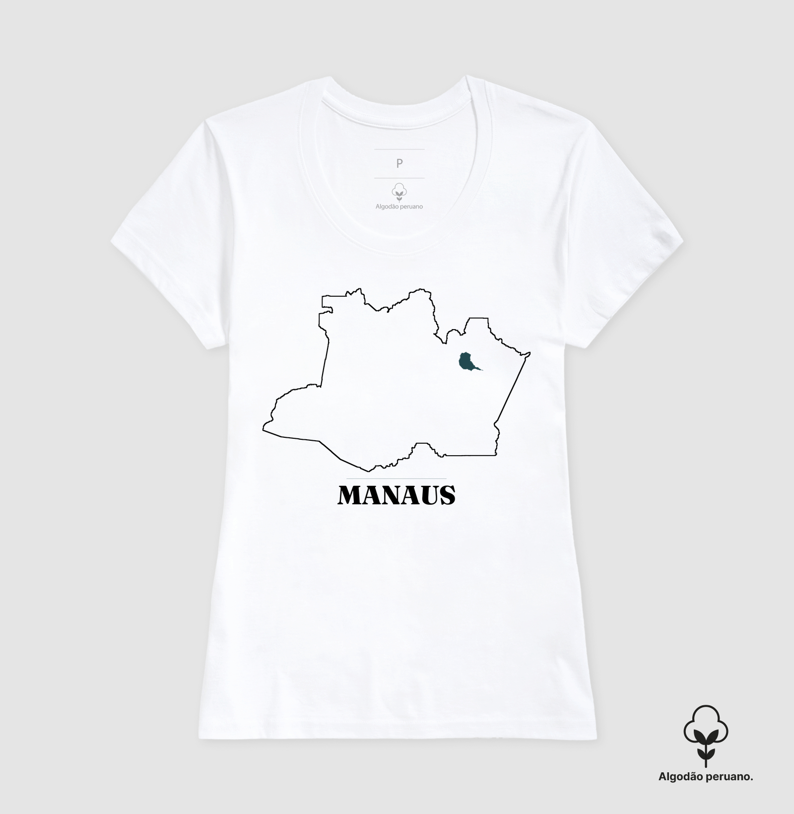 Manaus | Traço AM - Imagem 5