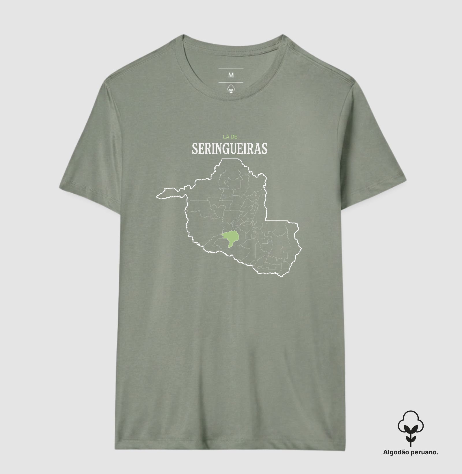 Seringueiras | Território RO - Imagem 5