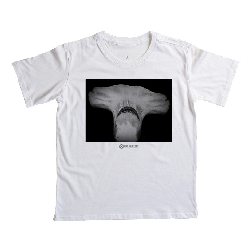 The Great Hammerhead by Juan Quinteros