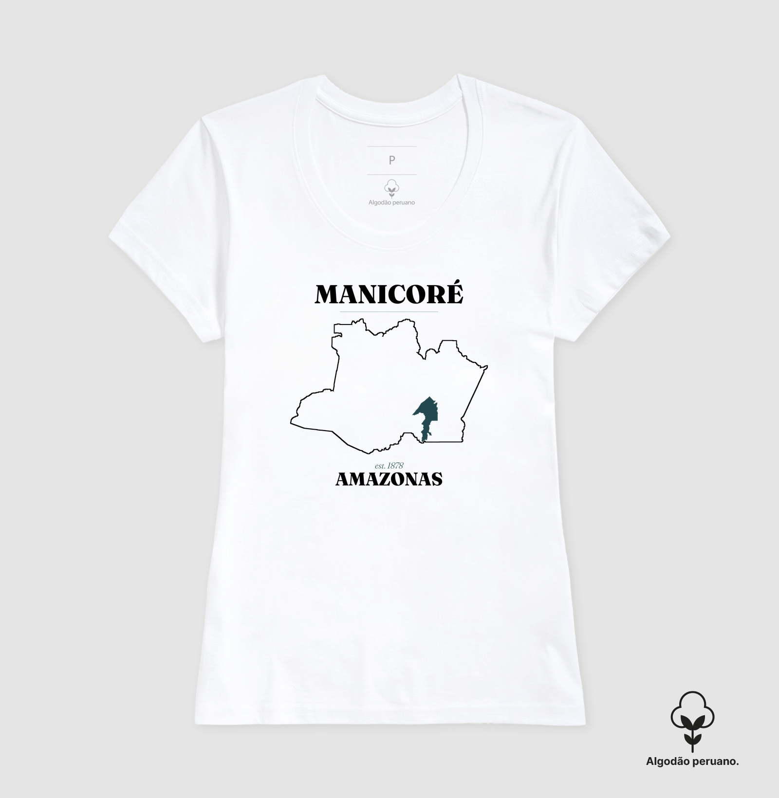 Manicoré | Legado AM - Imagem 4