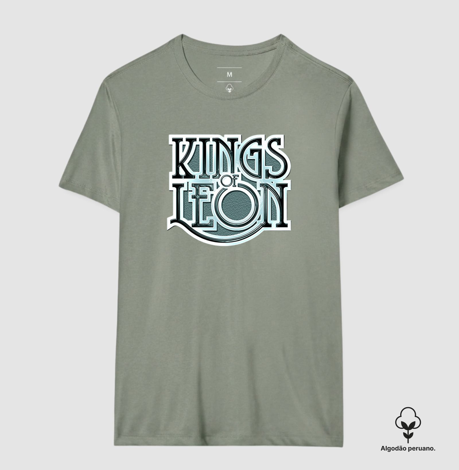 Kings Of Leon - Imagem 9