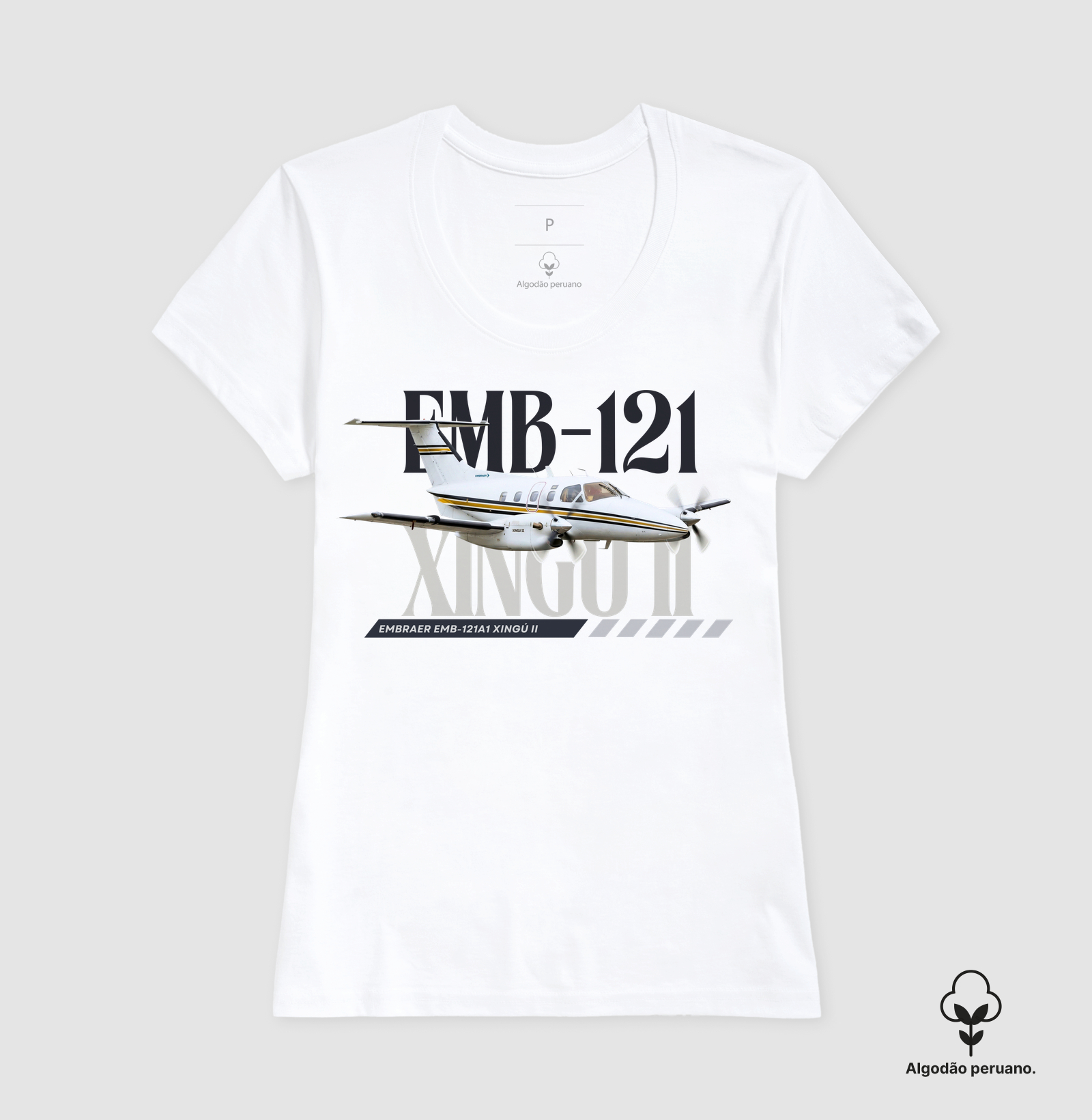 EMB121 Xingú II - PT-MCJ - Imagem 5