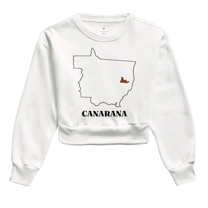 Canarana | Traço MT - Imagem 3