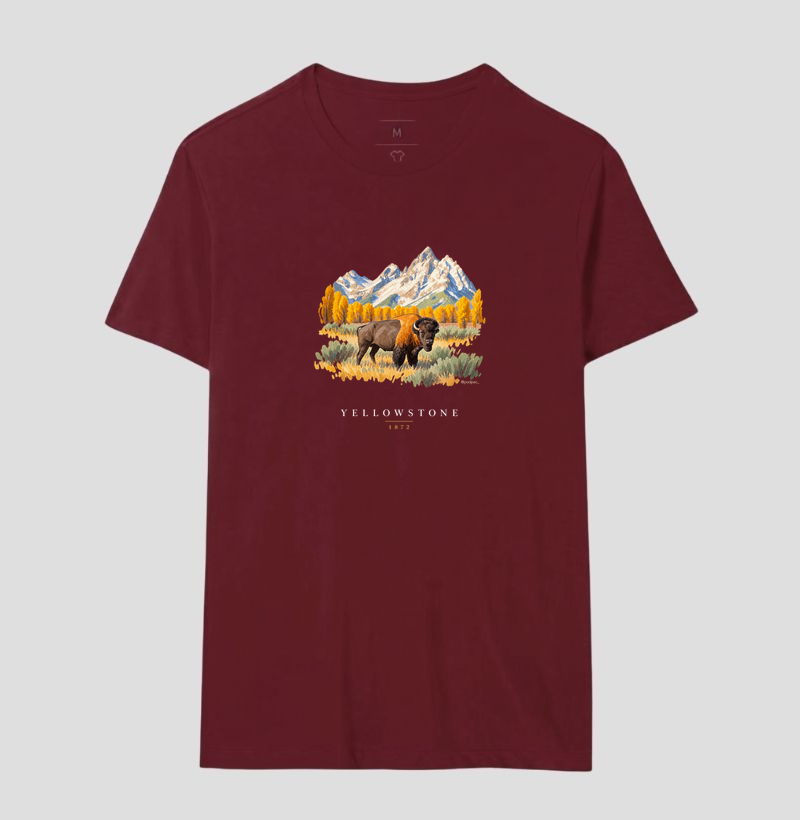 Bison - Yellowstone - Imagem 16