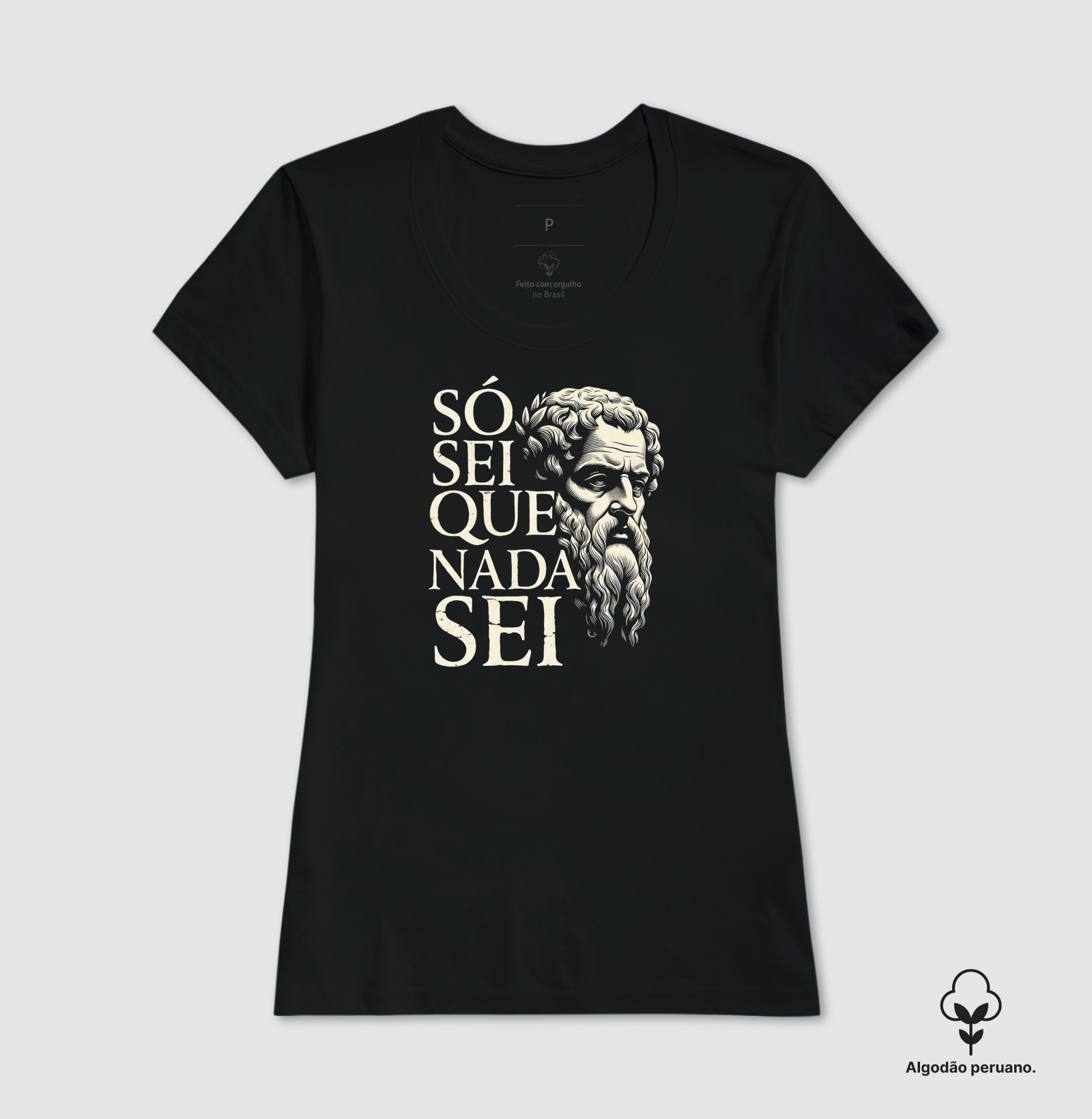 Filosofia de Sócrates "Só sei que nada sei" - Imagem 7