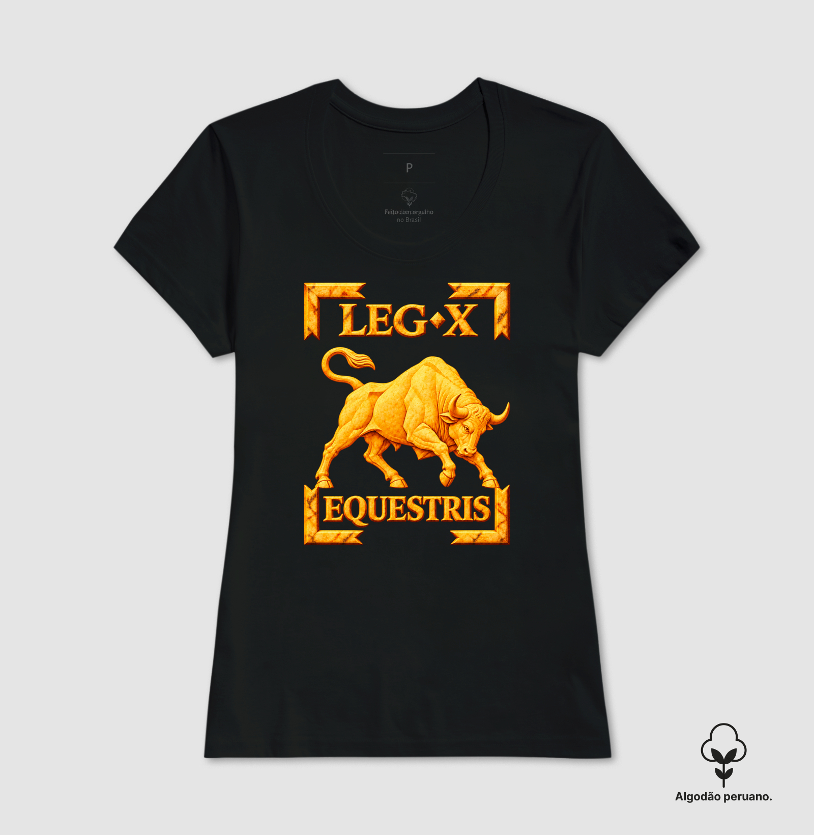 LEGIO — X Equestris - III - Imagem 4