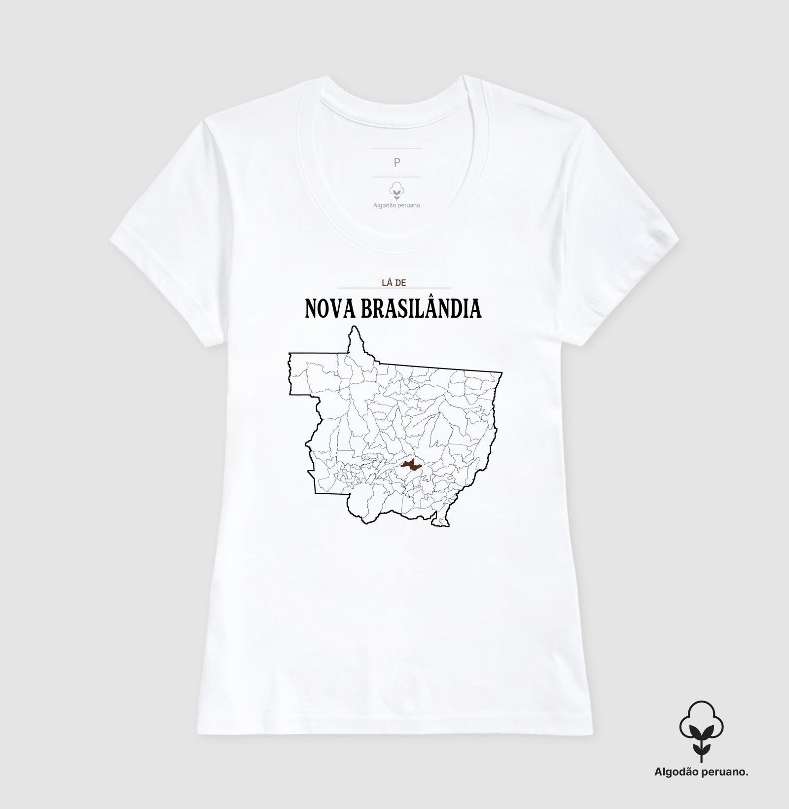 Nova Brasilândia | Território MT - Imagem 2
