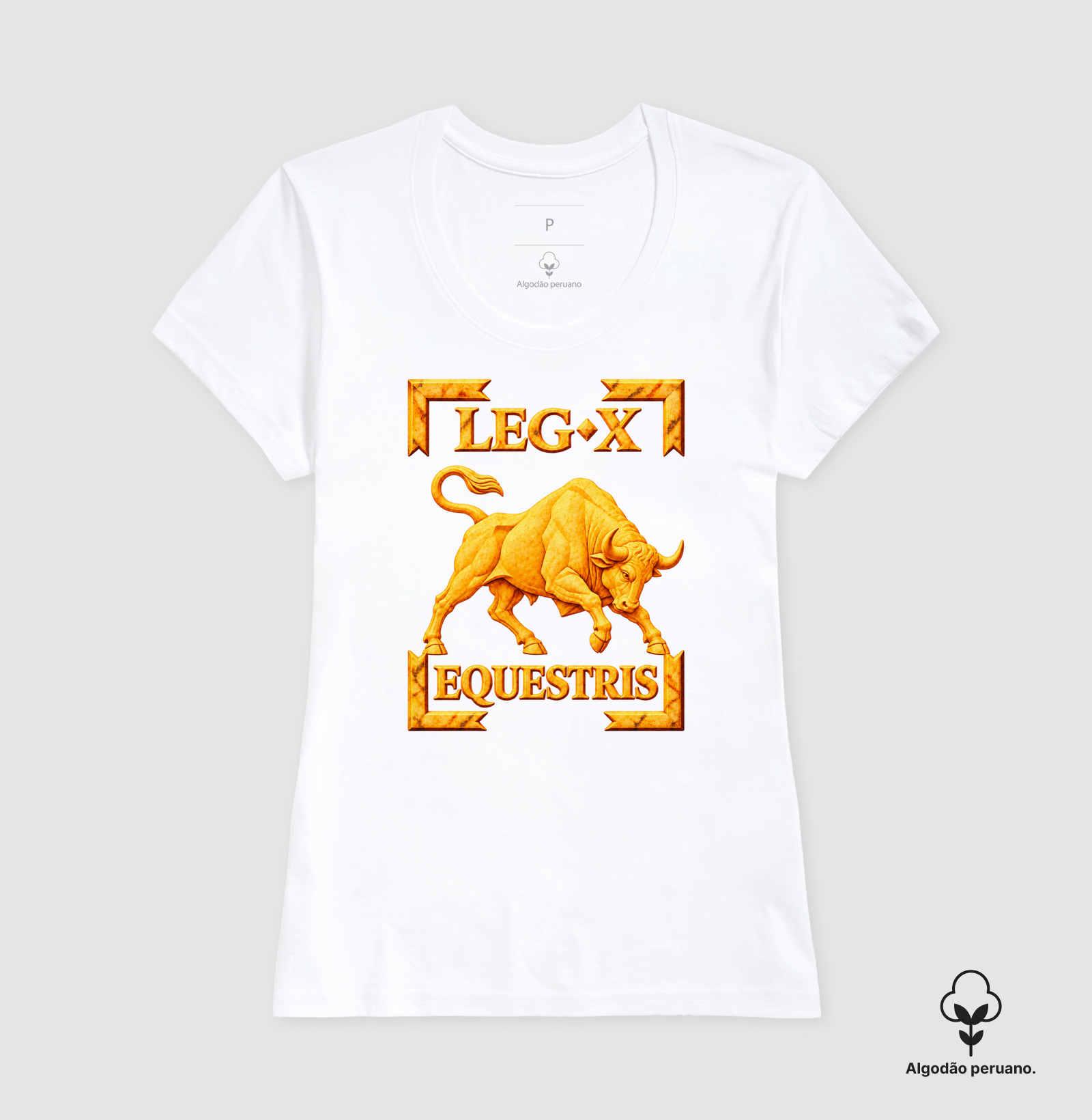 LEGIO — X Equestris - III - Imagem 7