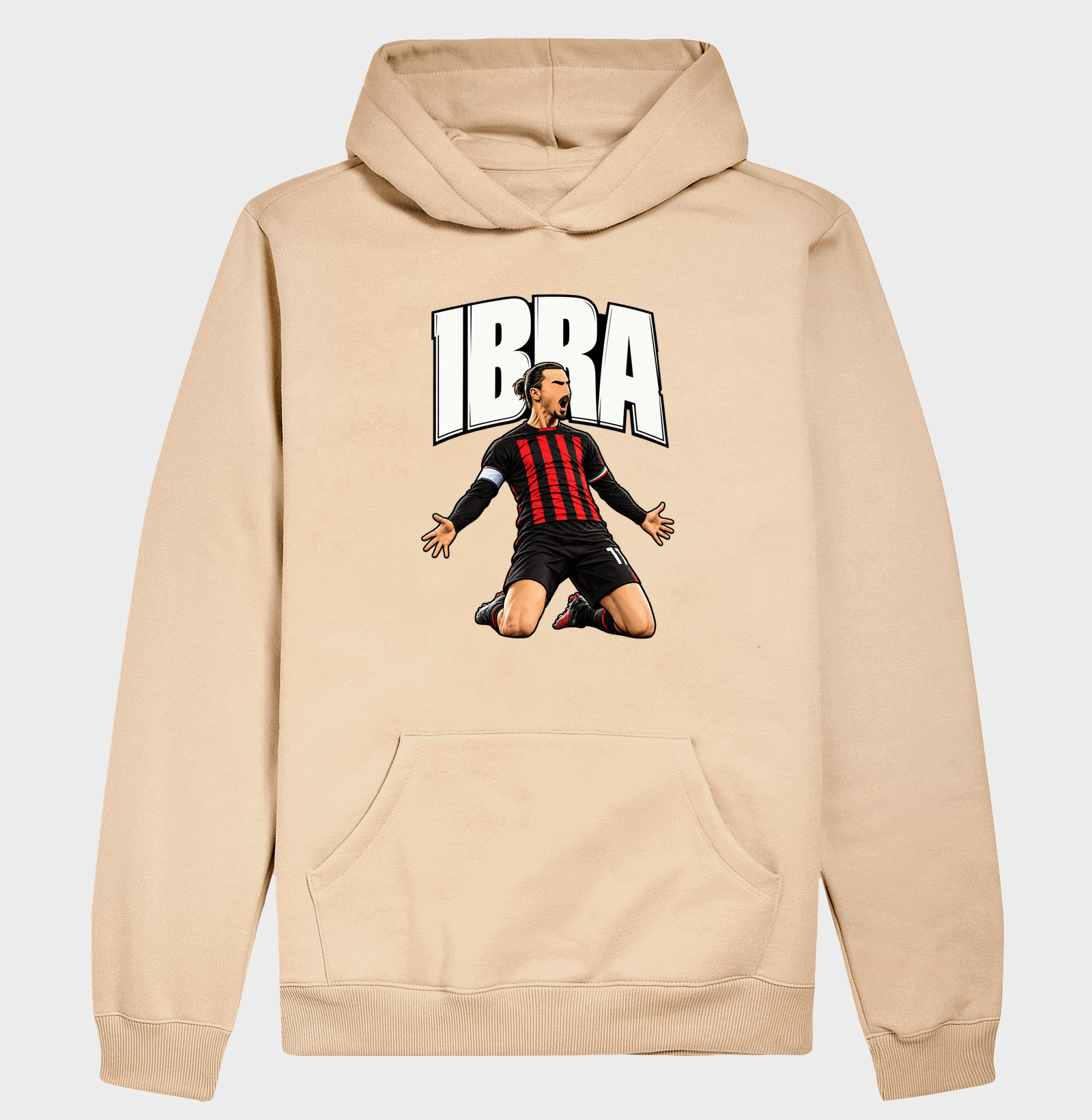 IBRA - Imagem 5