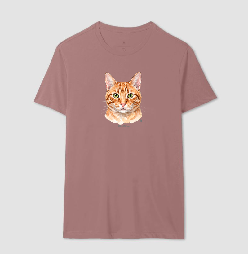Gatos - SRD Laranja - Imagem 14