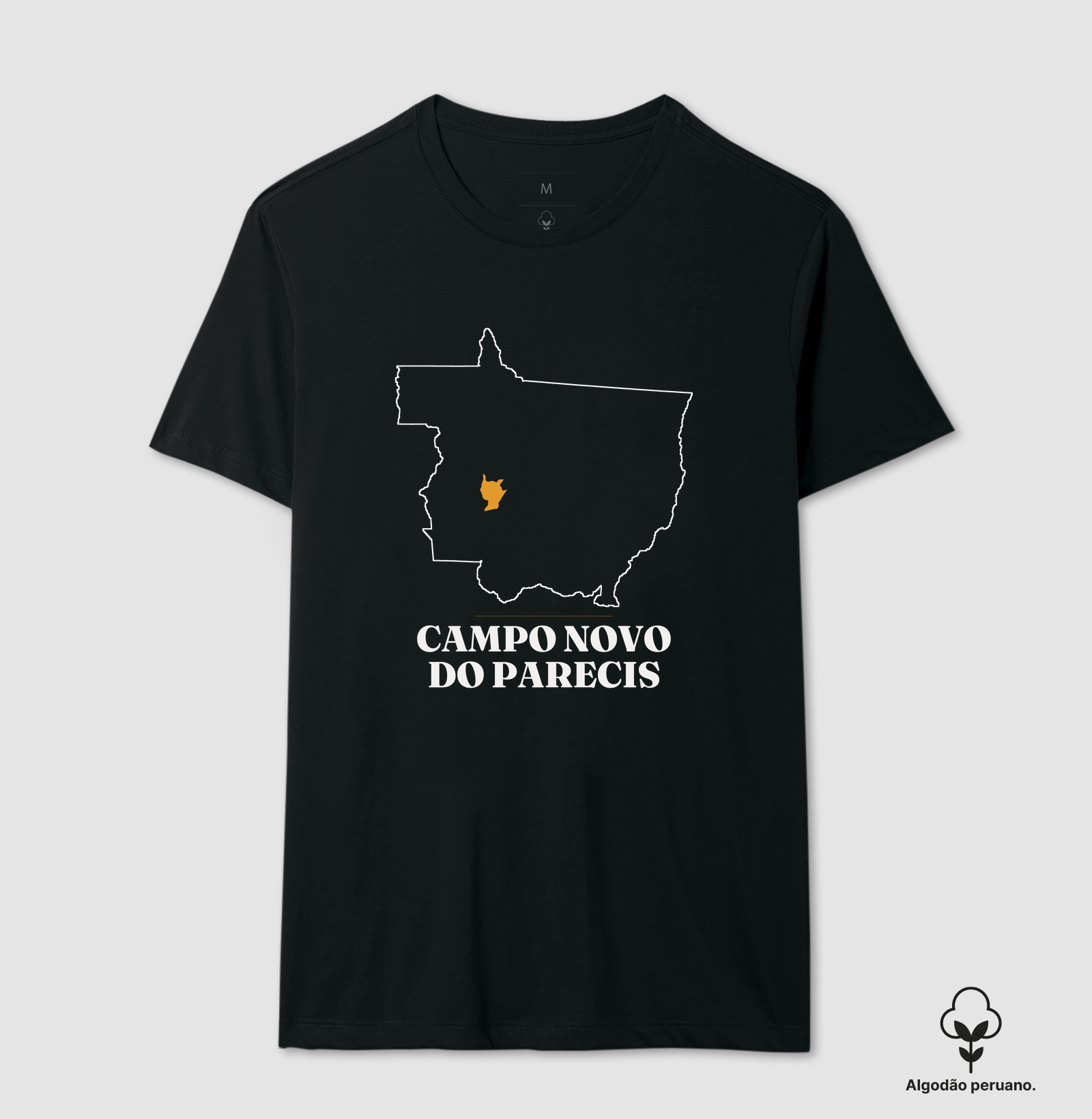 Campo Novo do Parecis | Traço MT - Imagem 4