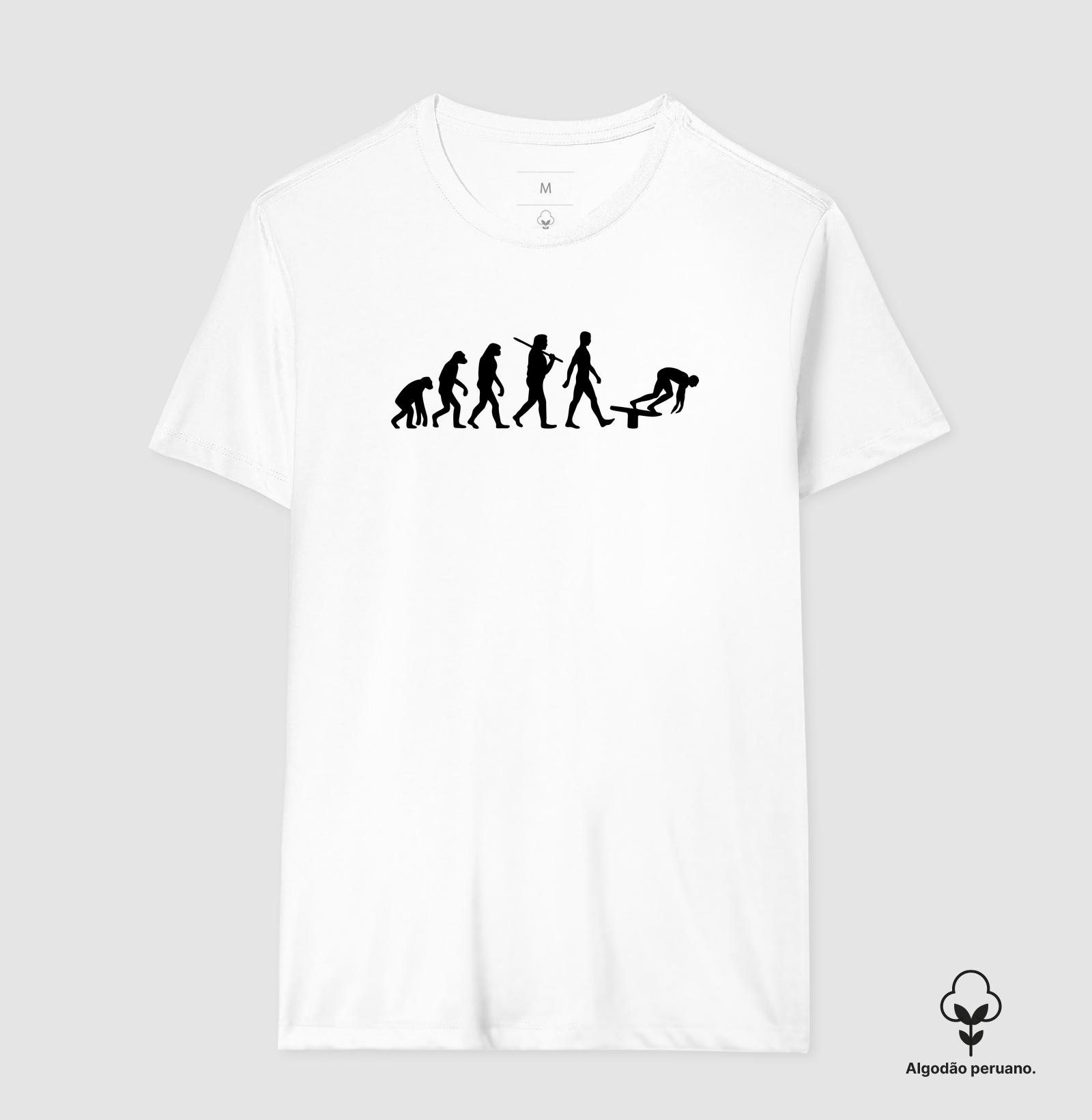 Evolução - Imagem 8