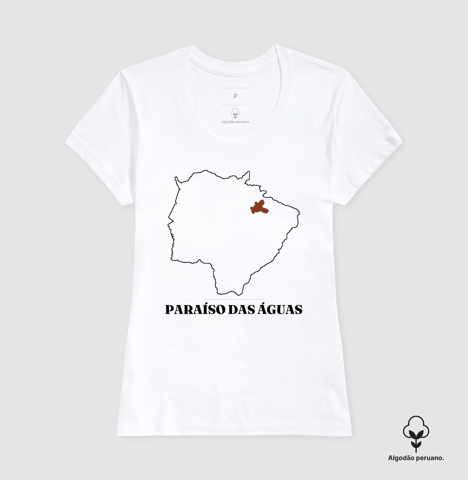 Paraíso das Águas | Traço MS - Imagem 5