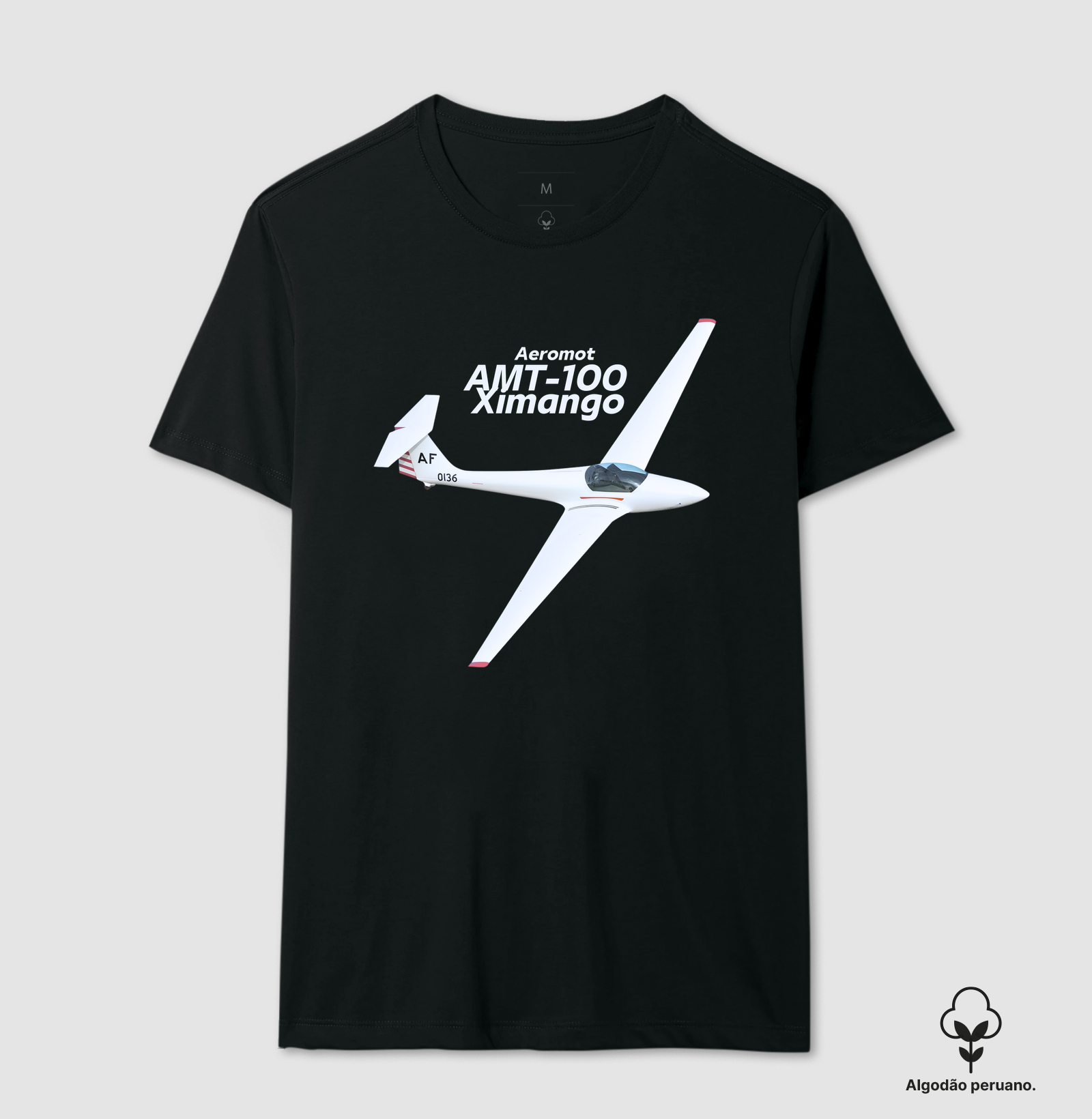 Planador - EMB-400  Ximango Aeromot - Imagem 5