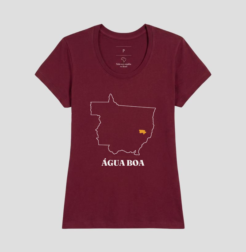 Água Boa | Traço MT - Imagem 19