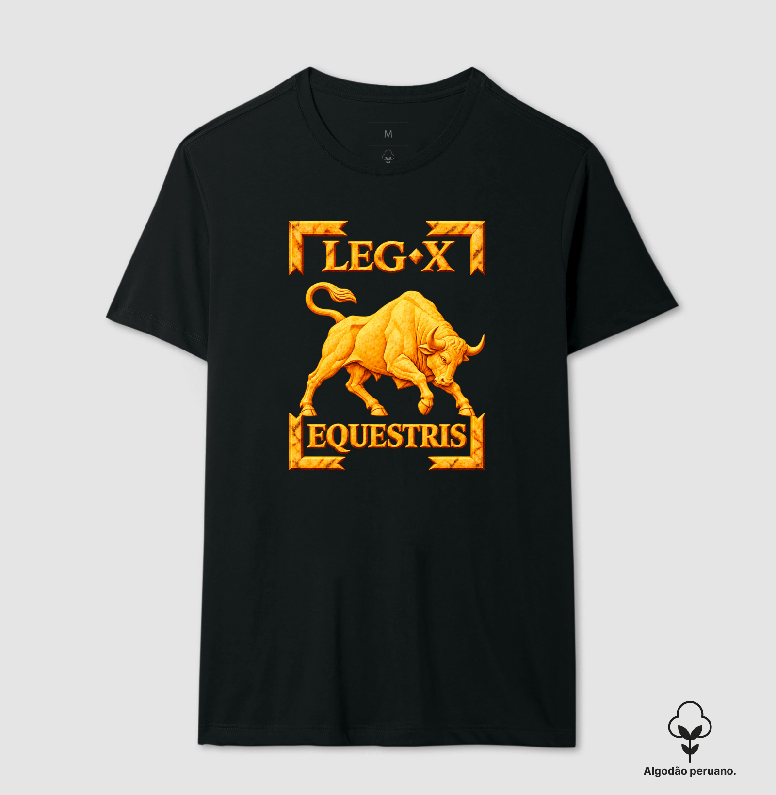 LEGIO — X Equestris - III - Imagem 3