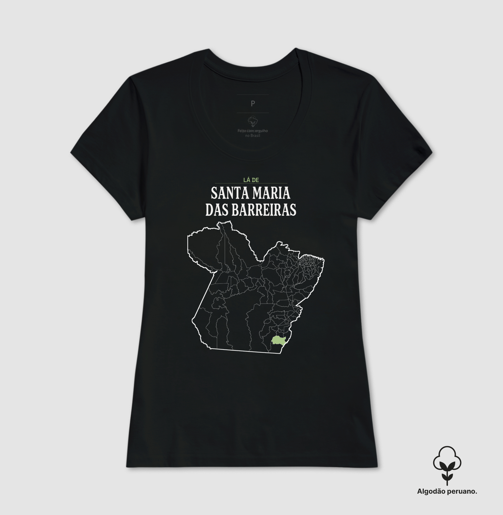 Santa Maria das Barreiras | Território PA - Imagem 5
